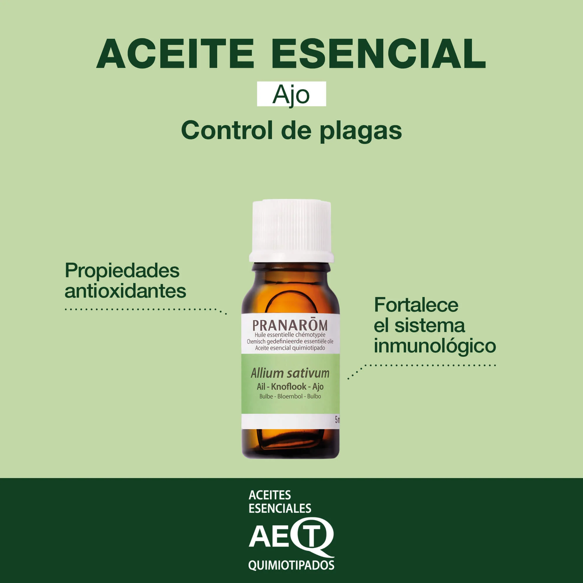 Aceite Esencial Ajo Bulbo 5 ml - Image 2