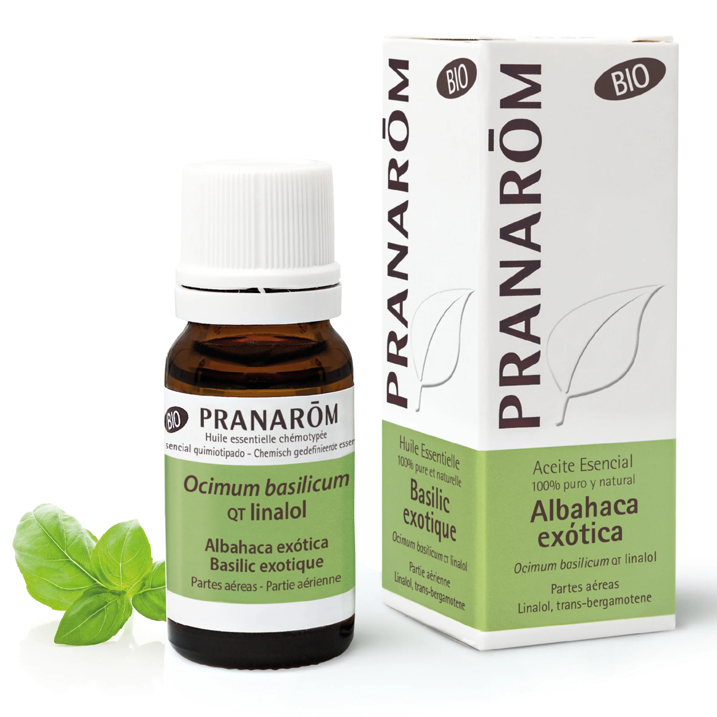 Aceite Esencial Albahaca Exótica 10 ml - Bio
