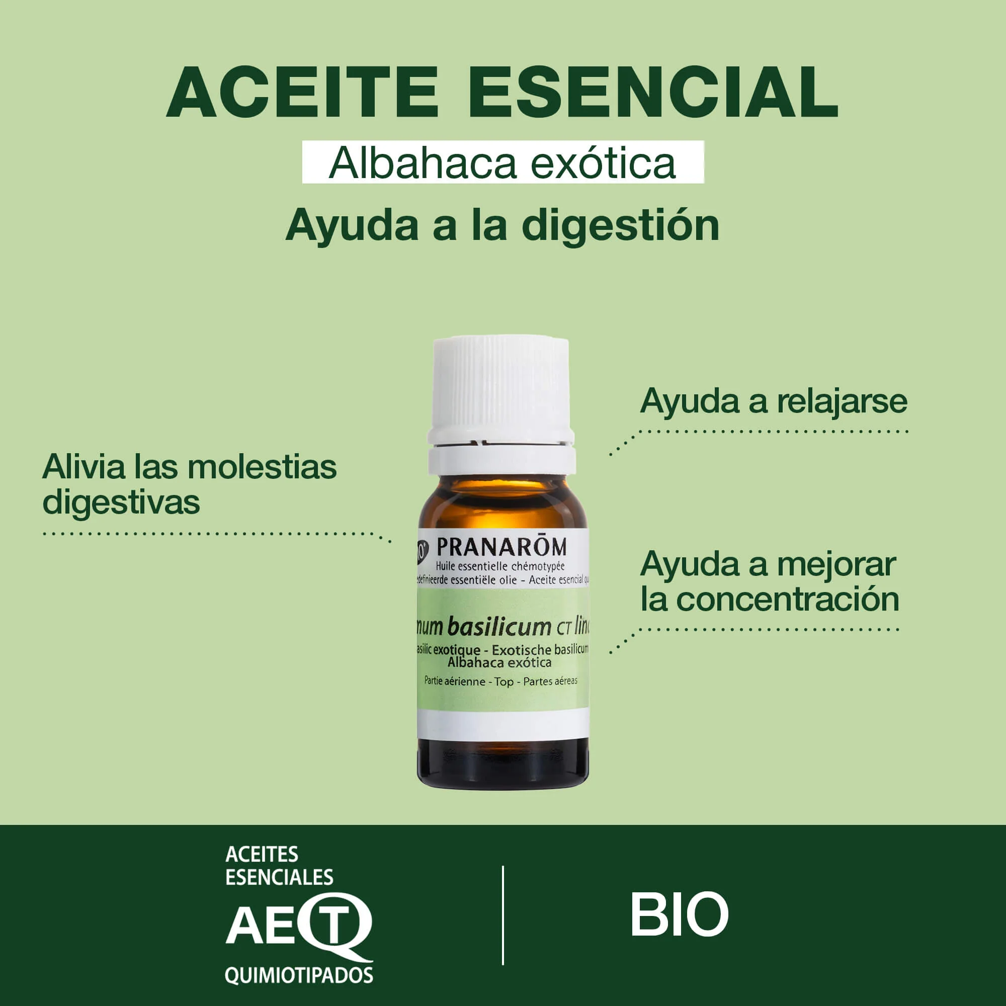 Aceite Esencial Albahaca Exótica 10 ml - Bio - Image 2