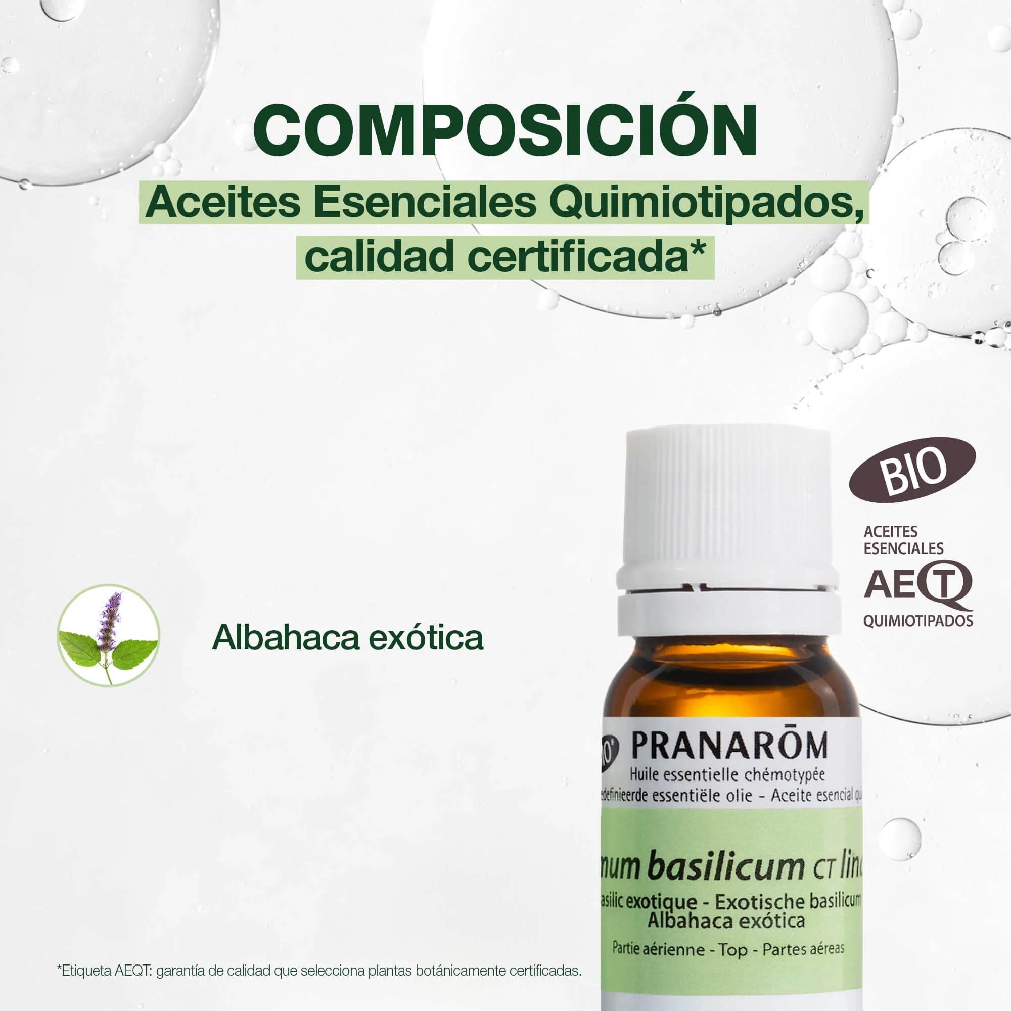 Aceite Esencial Albahaca Exótica 10 ml - Bio - Image 3