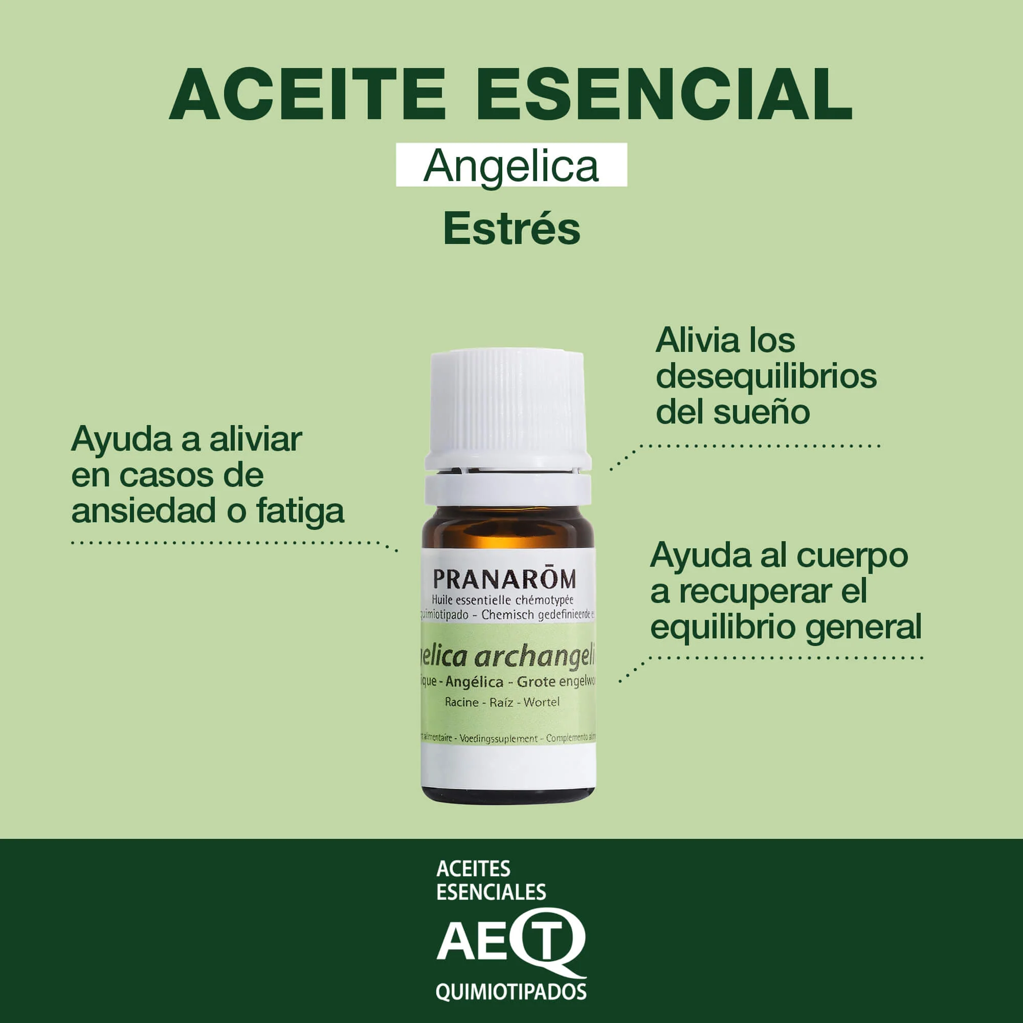 Aceite Esencial Angélica 5 ml - Image 2