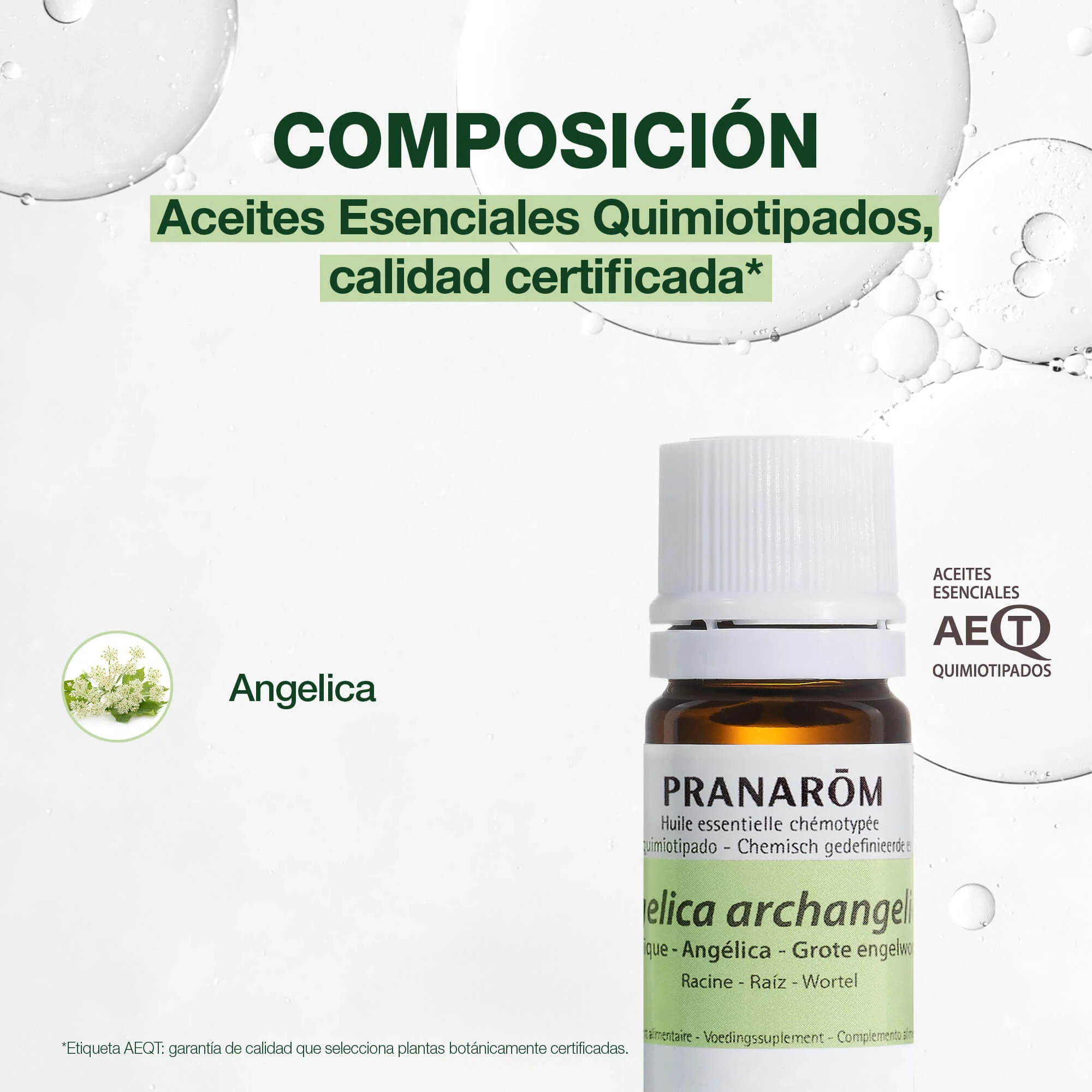 Aceite Esencial Angélica 5 ml - Image 3