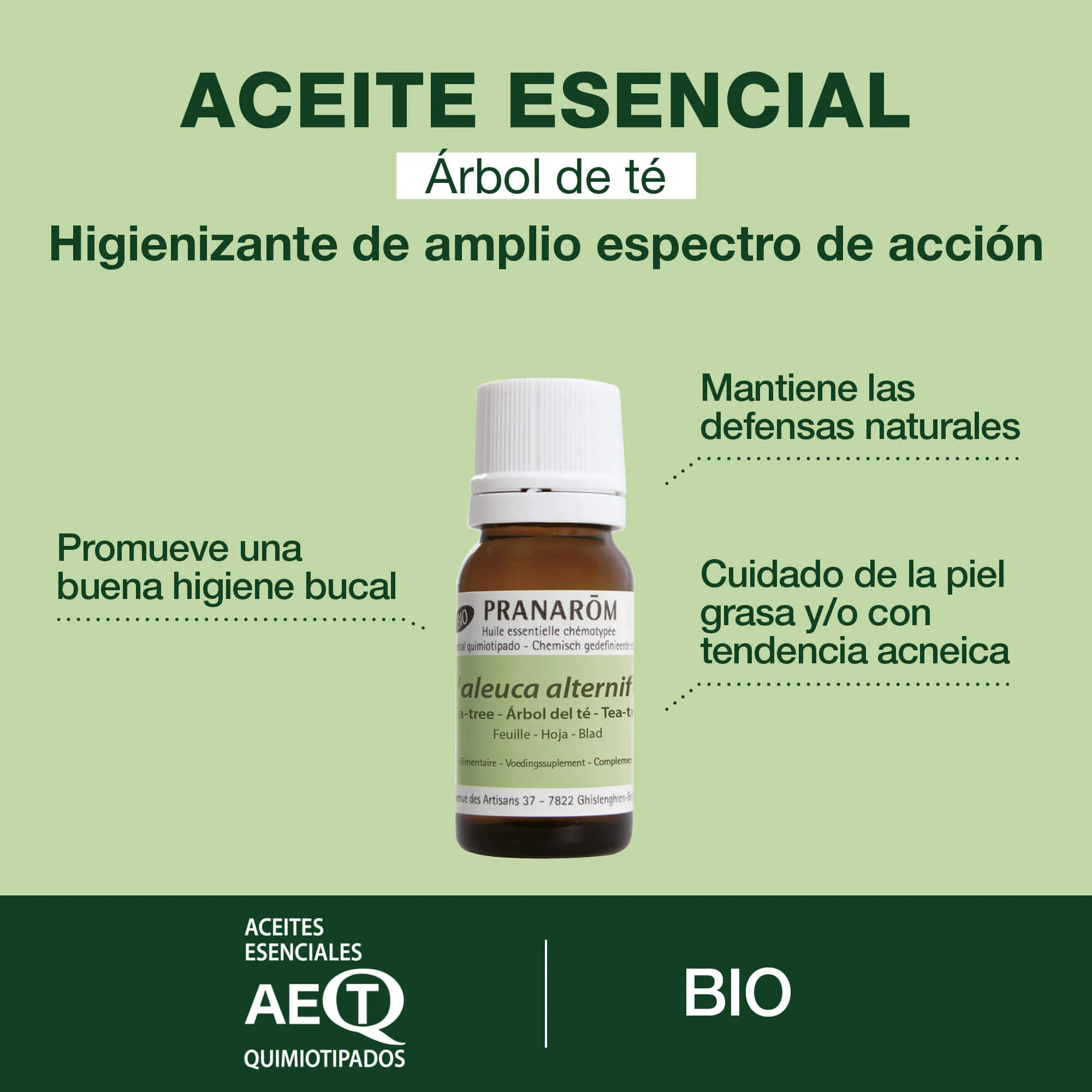 Aceite Esencial Árbol del Té 10 ml - Bio - Image 2