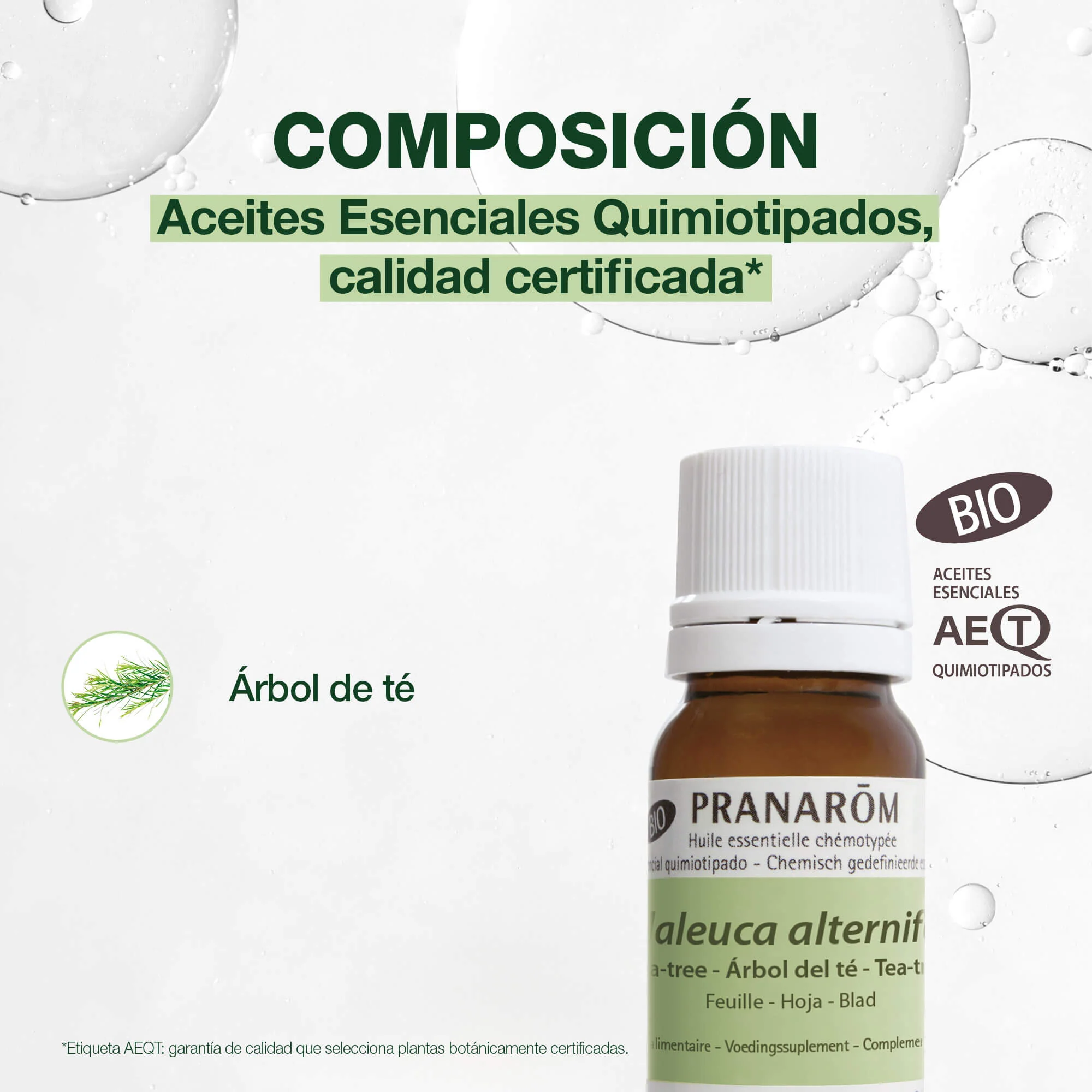 Aceite Esencial Árbol del Té 10 ml - Bio - Image 4