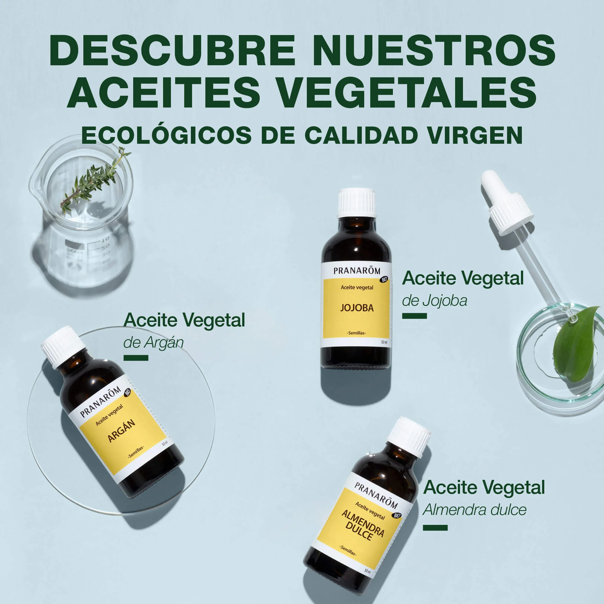 Aceite Vegetal Argán 50 ml - Bio - Image 6