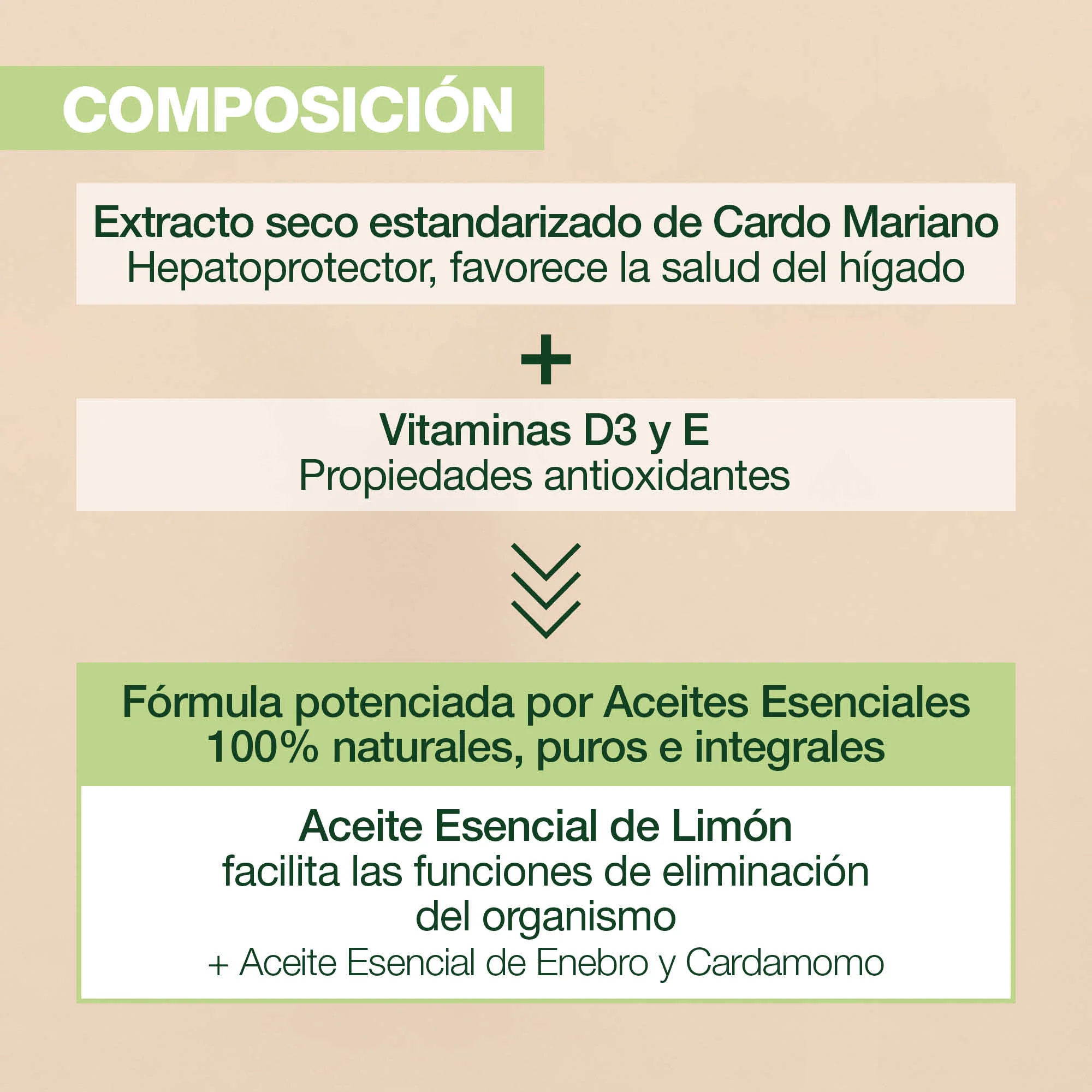 Detox 60 Cápsulas - Image 3