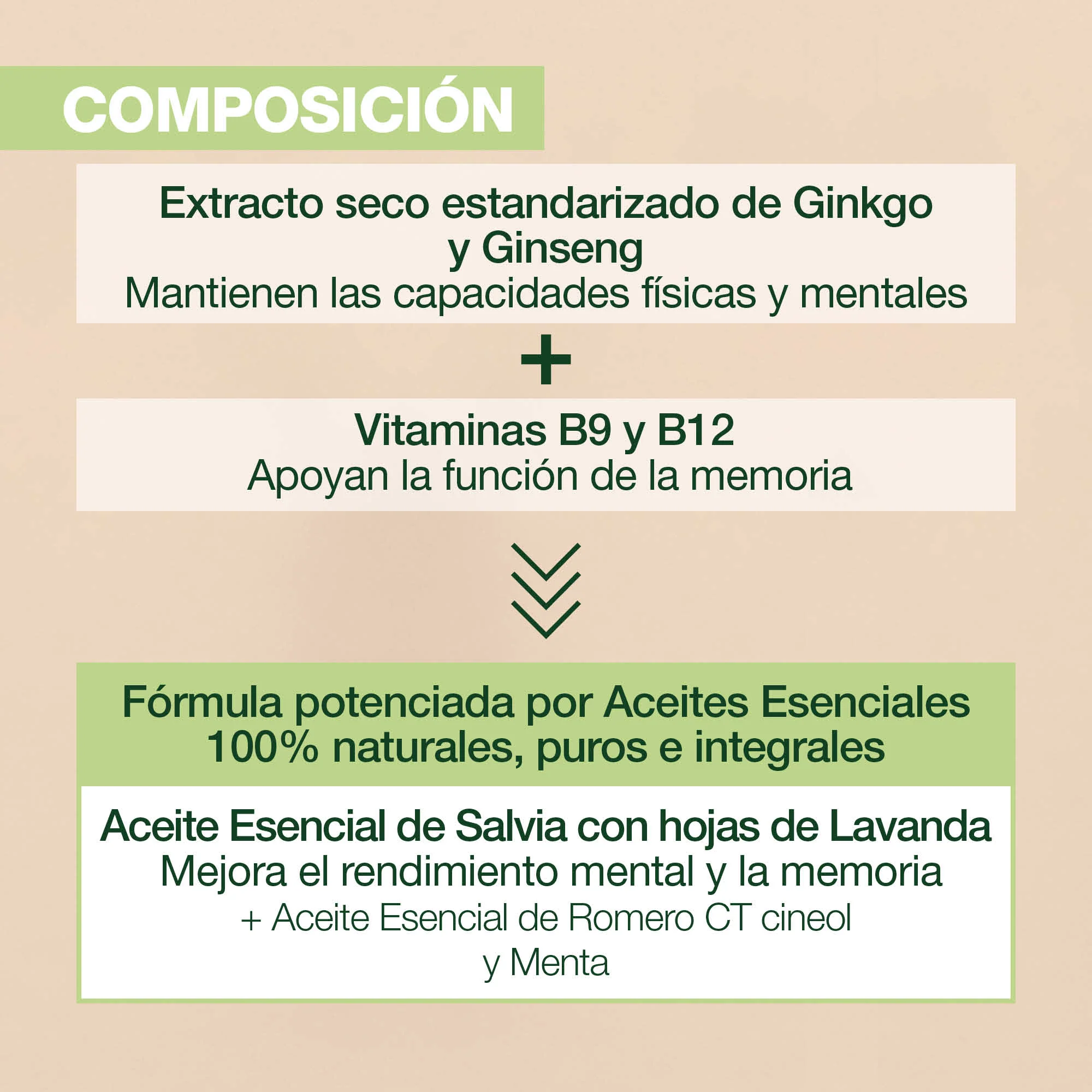 focus 60 Cápsulas - Image 3