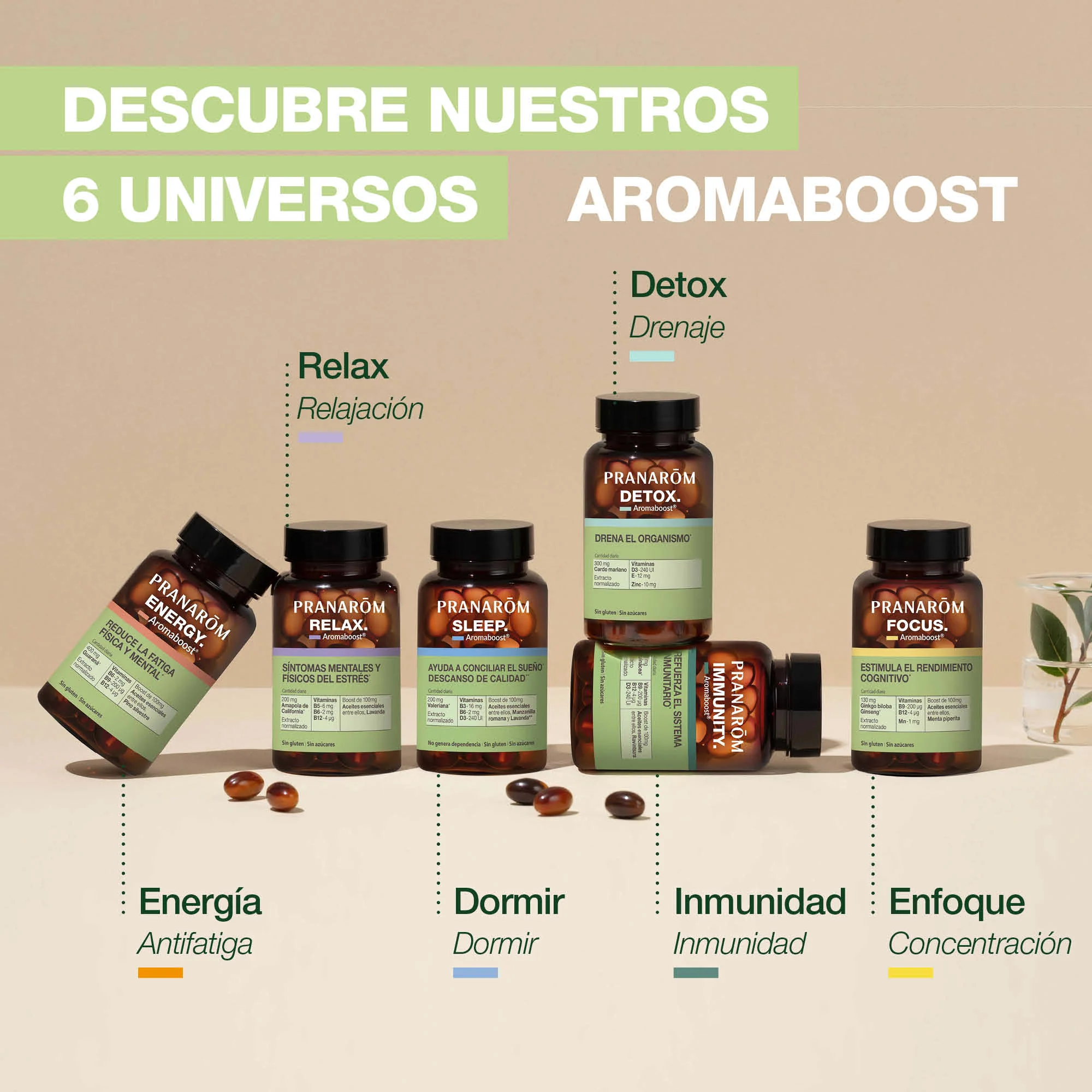 focus 60 Cápsulas - Image 6