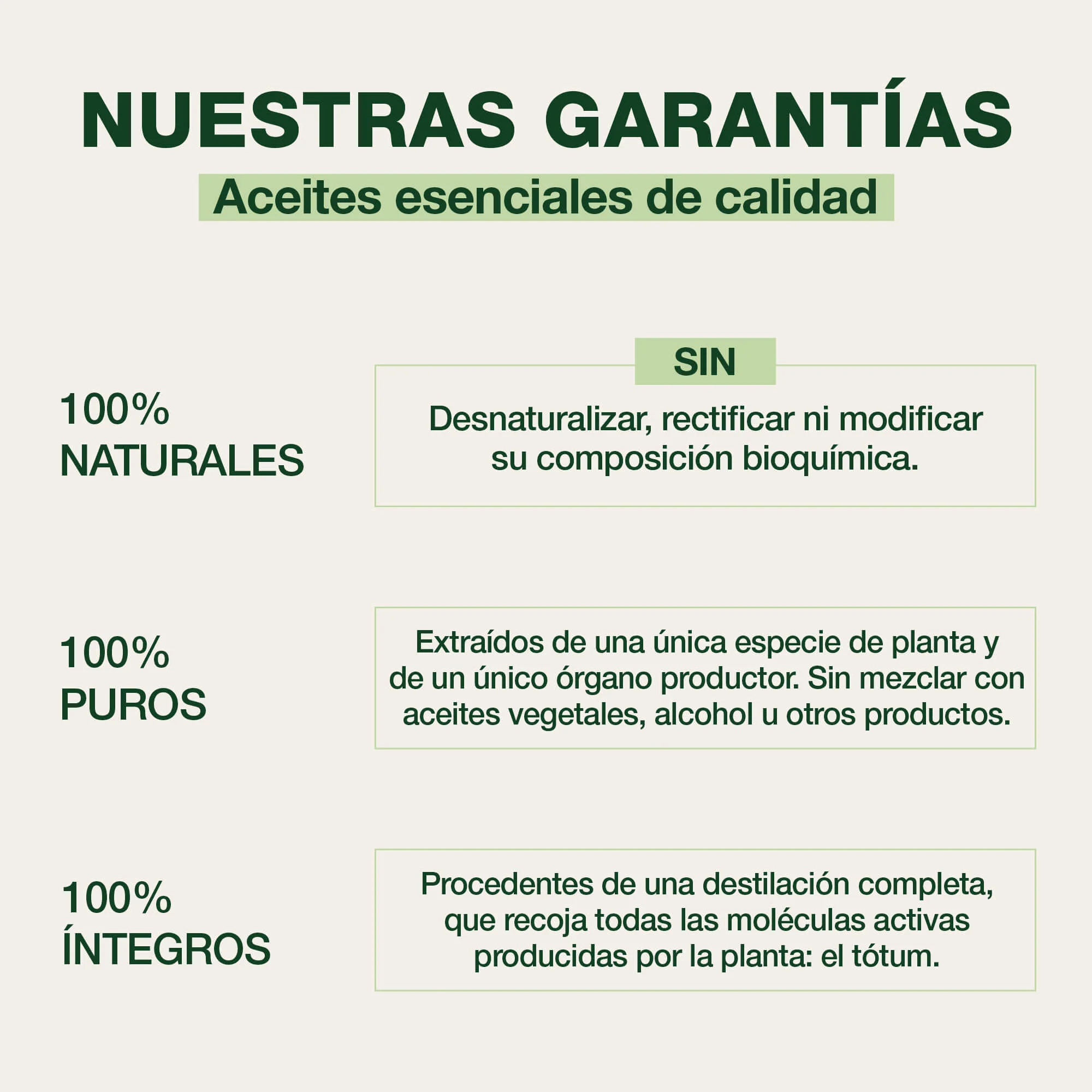 Bálsamo Pectoral  40 ml - Bio - Image 3