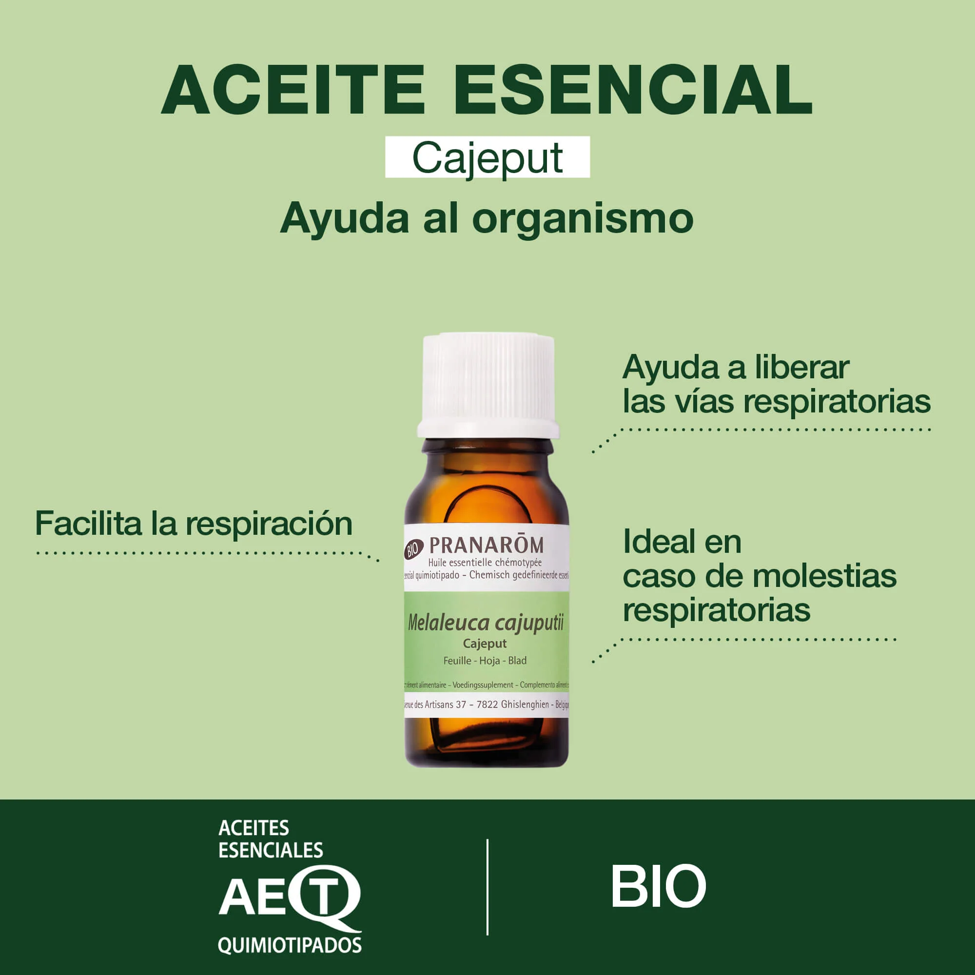 Aceite Esencial Cajeput 10 ml - Bio - Image 2