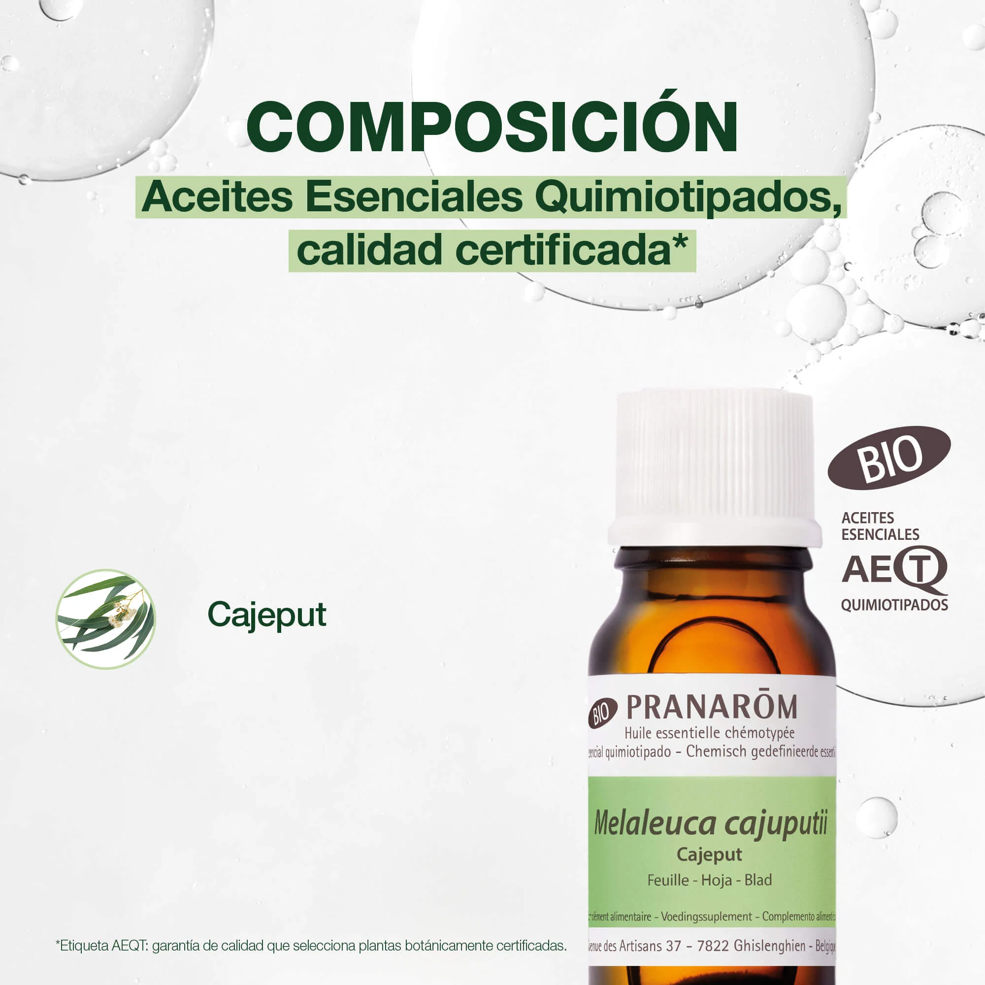 Aceite Esencial Cajeput 10 ml - Bio - Image 3