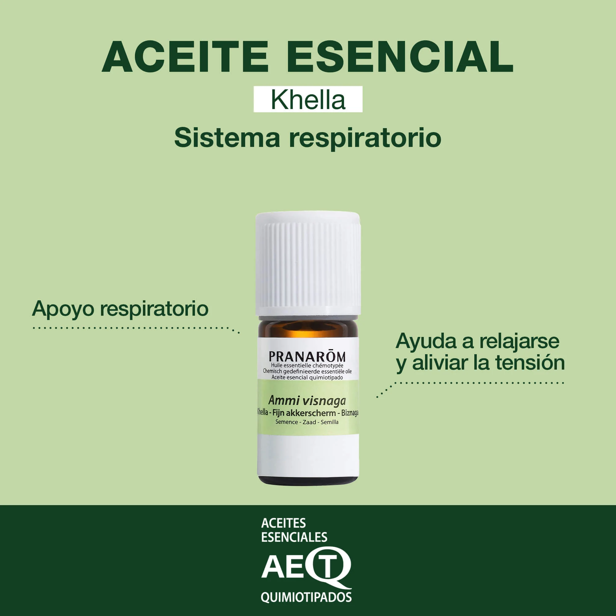 Aceite Esencial Biznaga 5 ml - Image 2