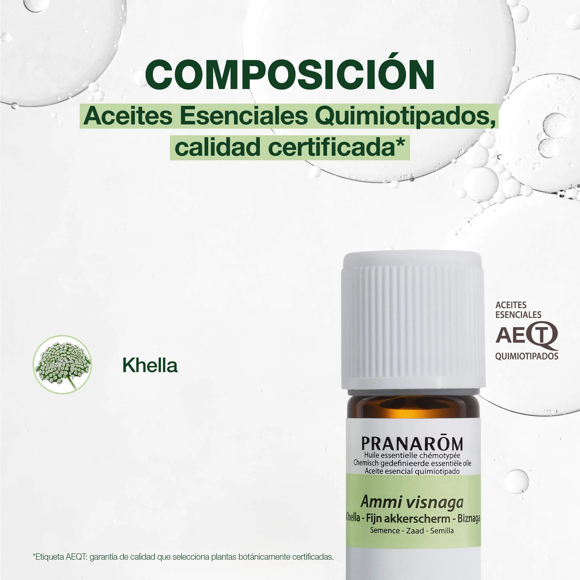 Aceite Esencial Biznaga 5 ml - Image 3