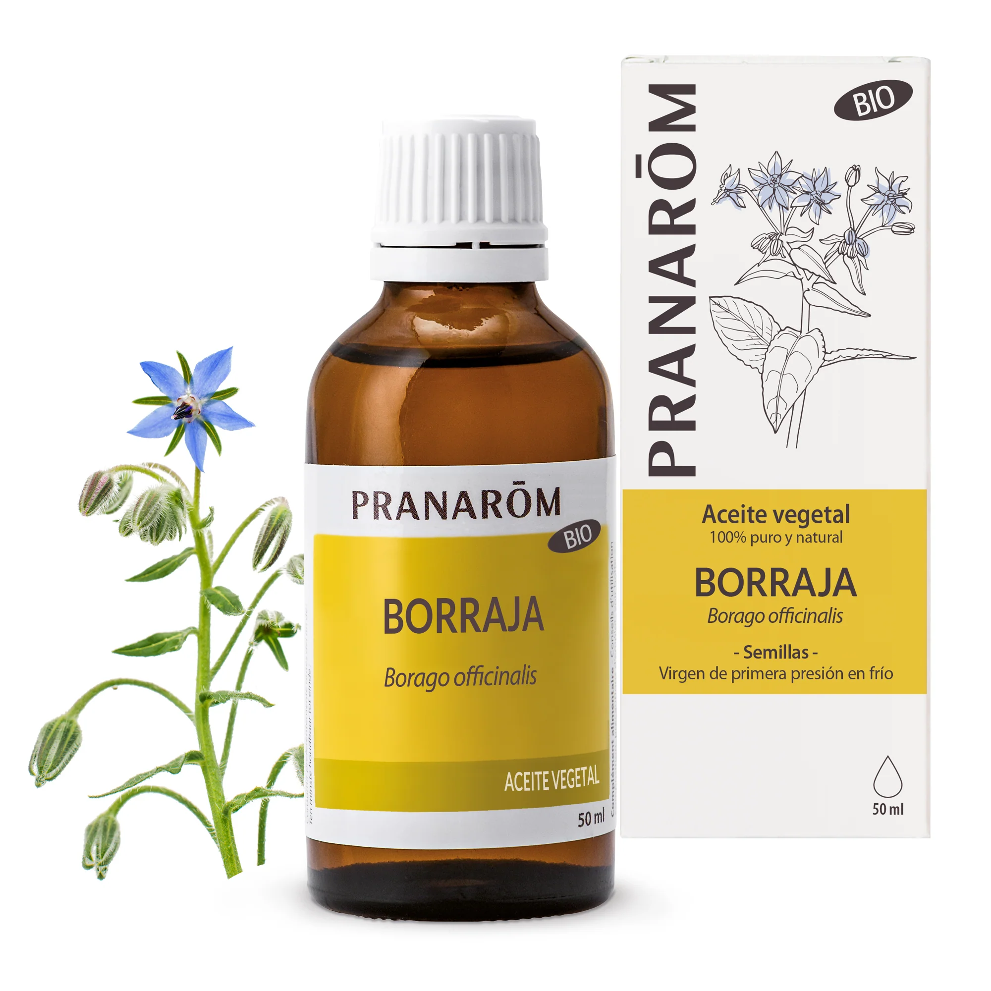 Aceite Vegetal Borraja 50 ml - Bio