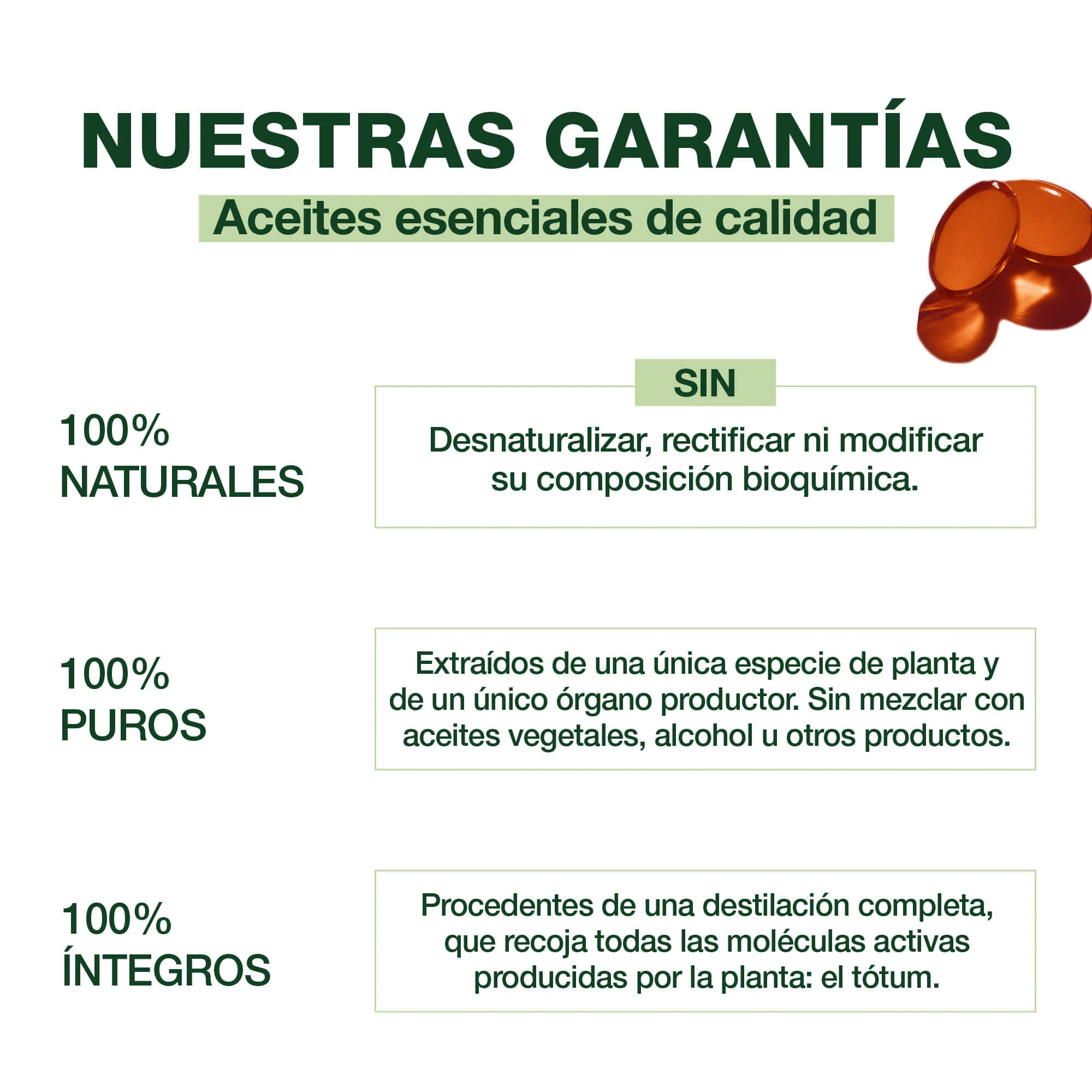 Cápsulas Confort Vías Urinarias - Bio - Image 3
