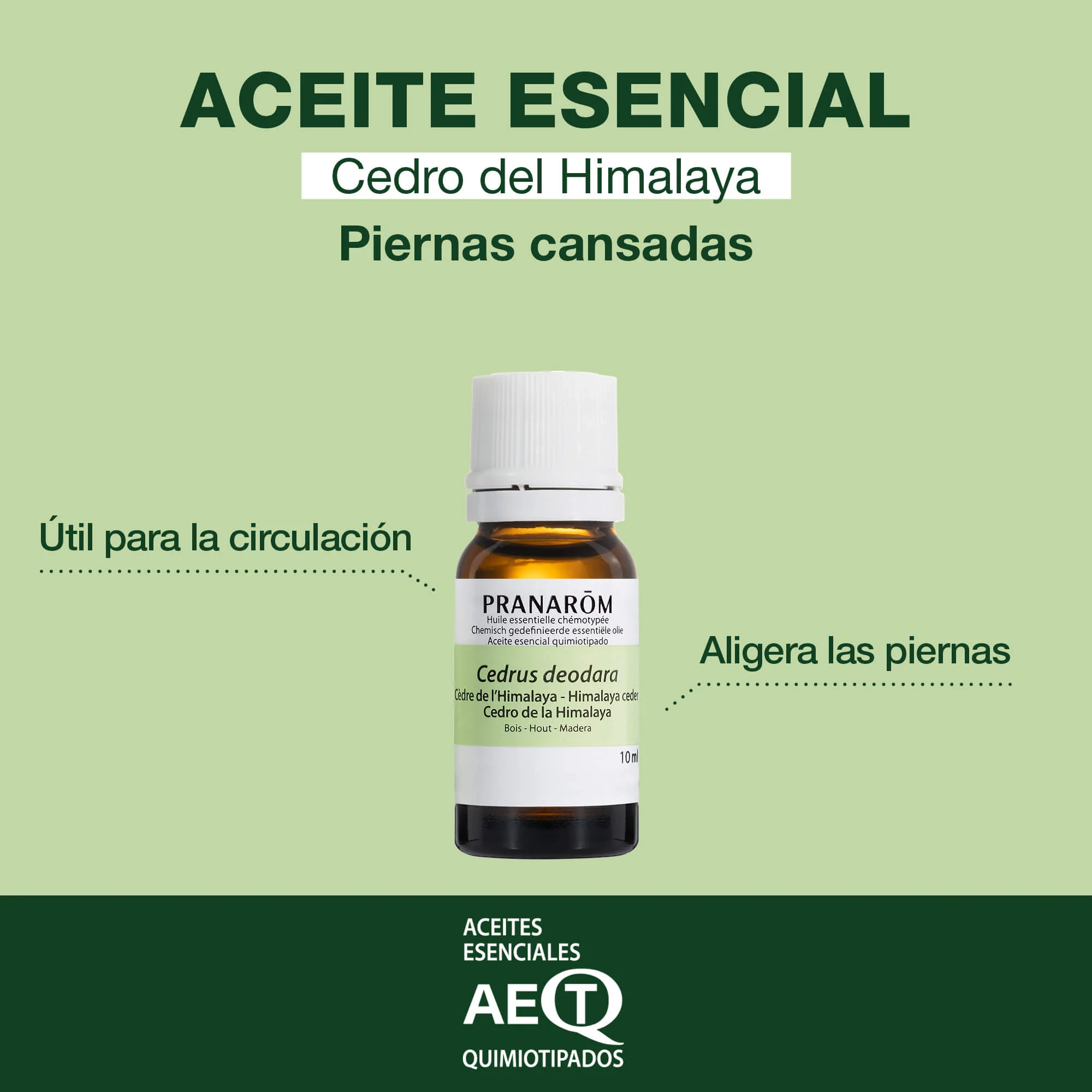Aceite Esencial Cedro de Himalaya 10 ml - Image 2