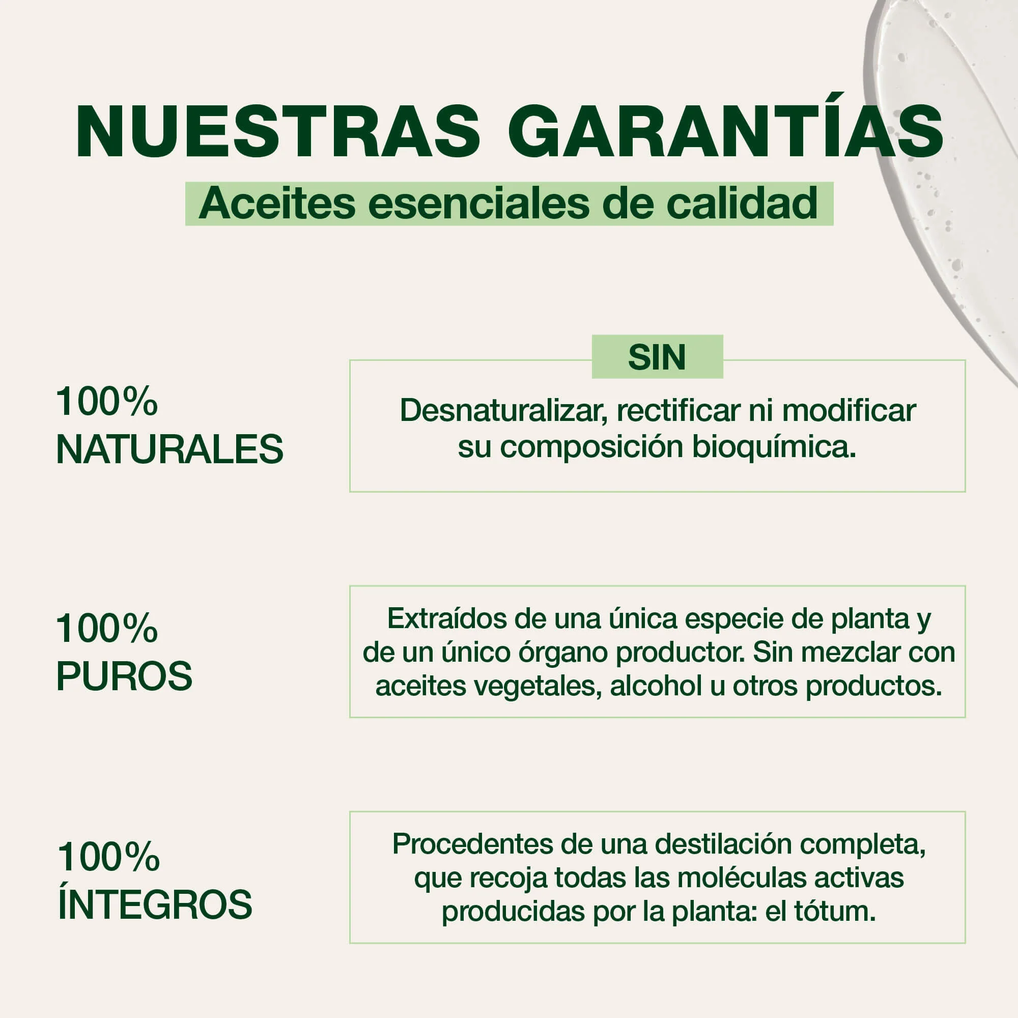 Champú de tratamiento 2 en 1 para piojos y liendres - Dispositivo médico - Image 4