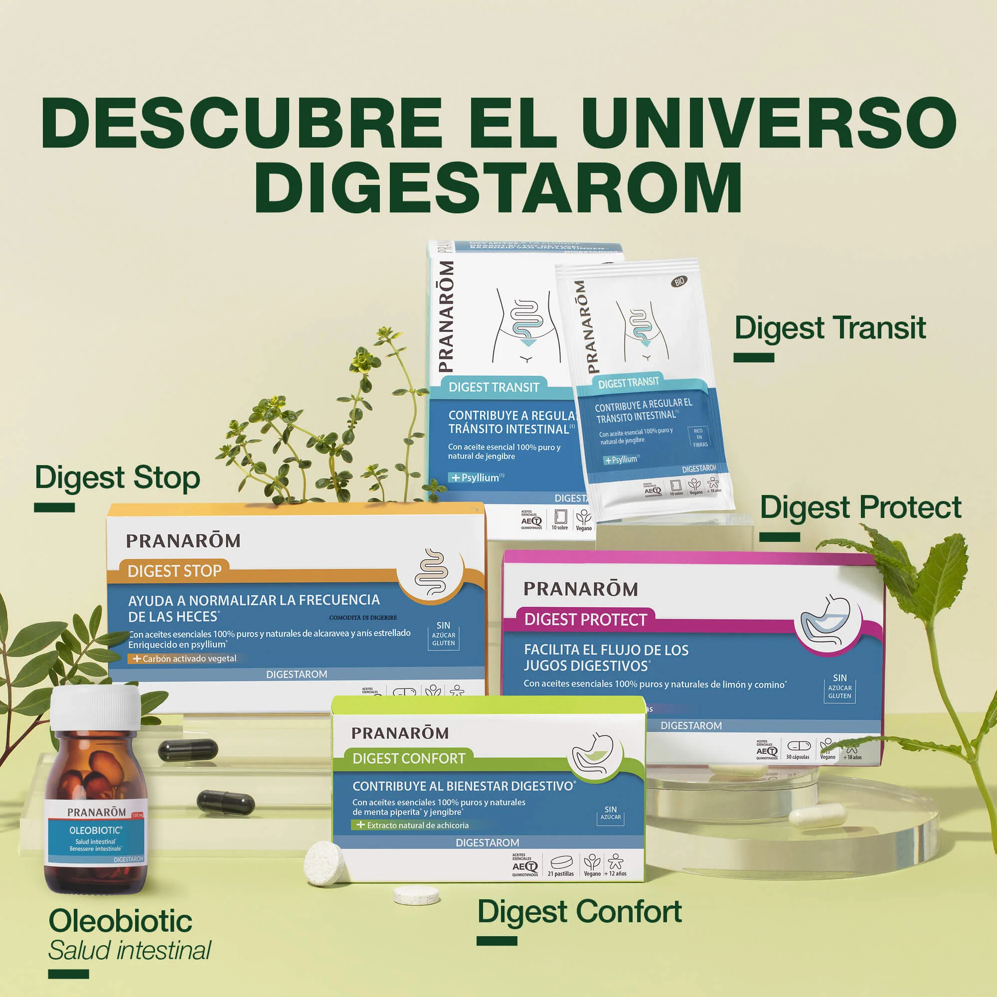 Digest Transit - Bio - Image 6