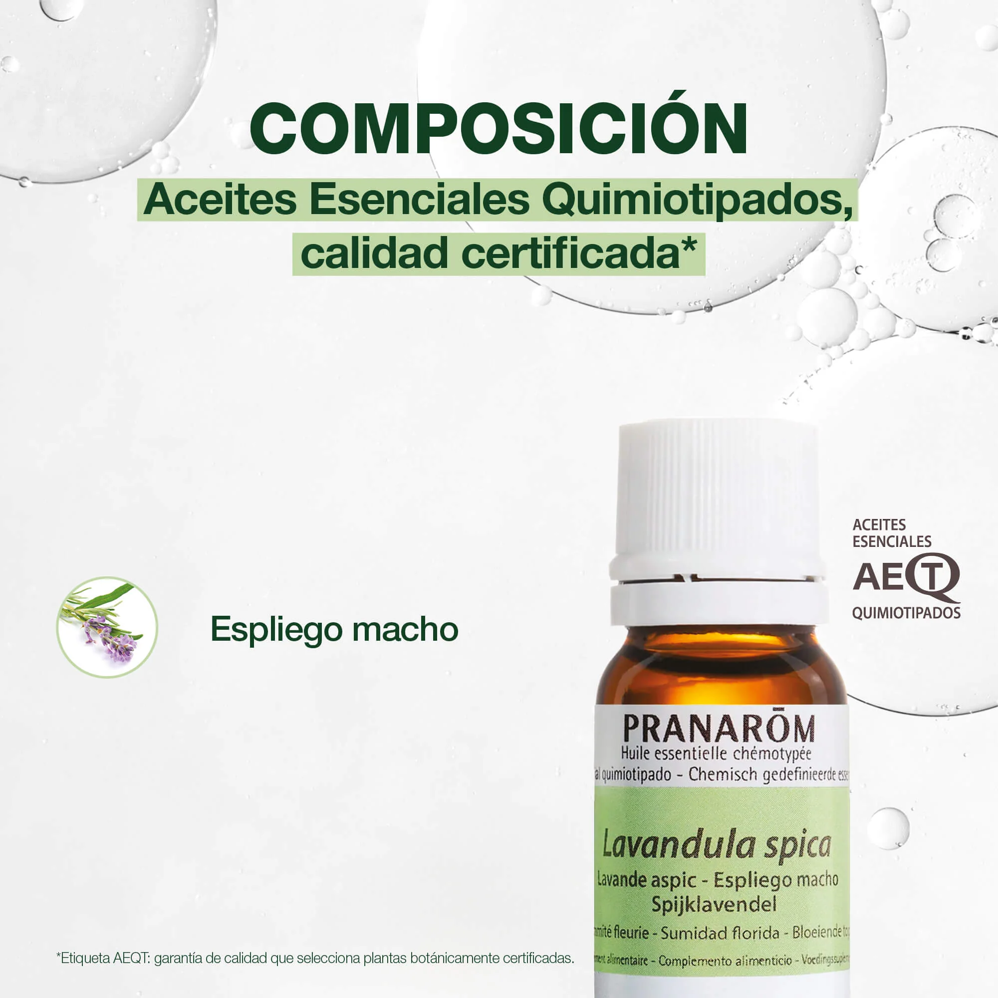Aceite Esencial Espliego Macho - Image 3