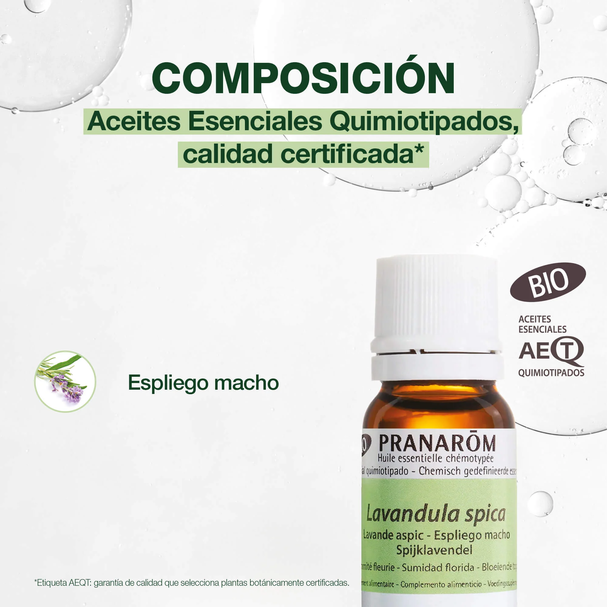 Aceite Esencial Espliego Macho 10 ml - Bio - Image 3