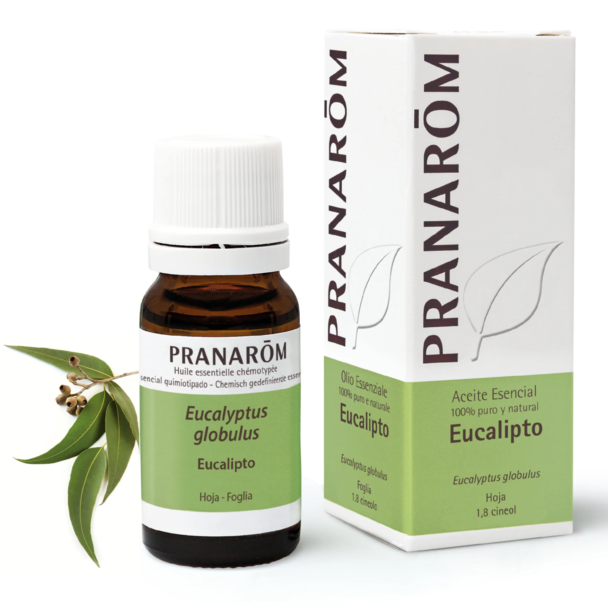 Aceite Esencial Eucalipto 10 ml