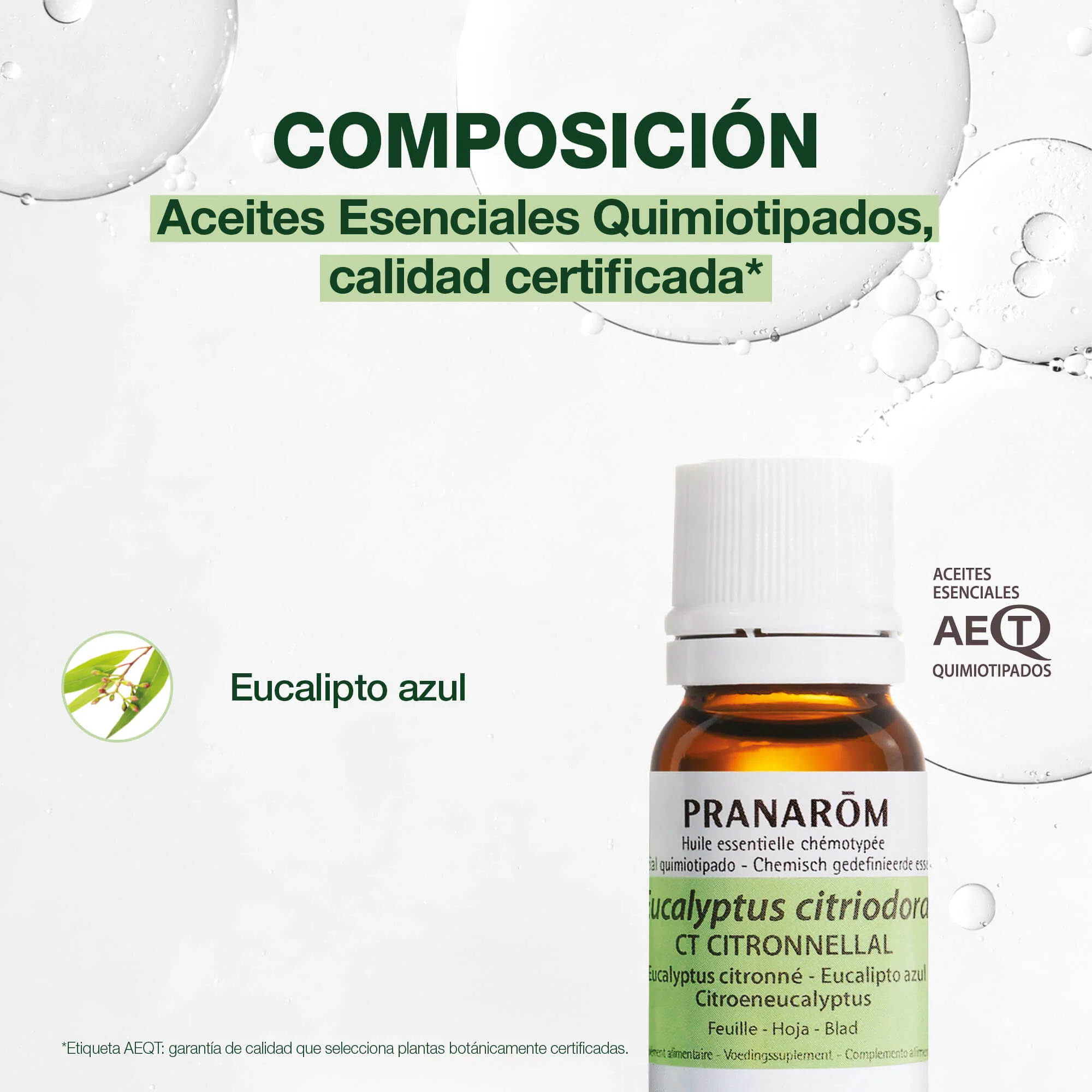 Aceite Esencial Eucalipto Azul 10 ml - Image 3