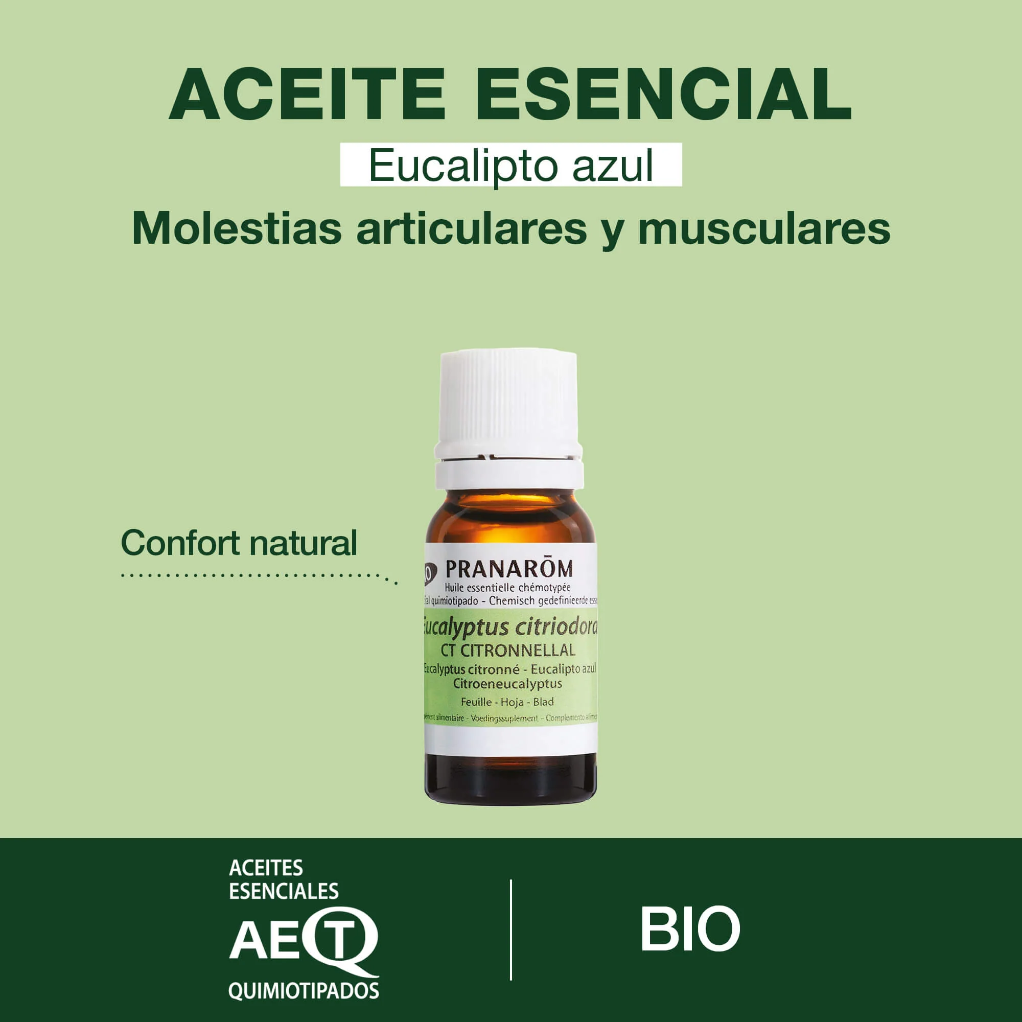 Aceite Esencial de Eucalipto Azul - Bio - Image 2