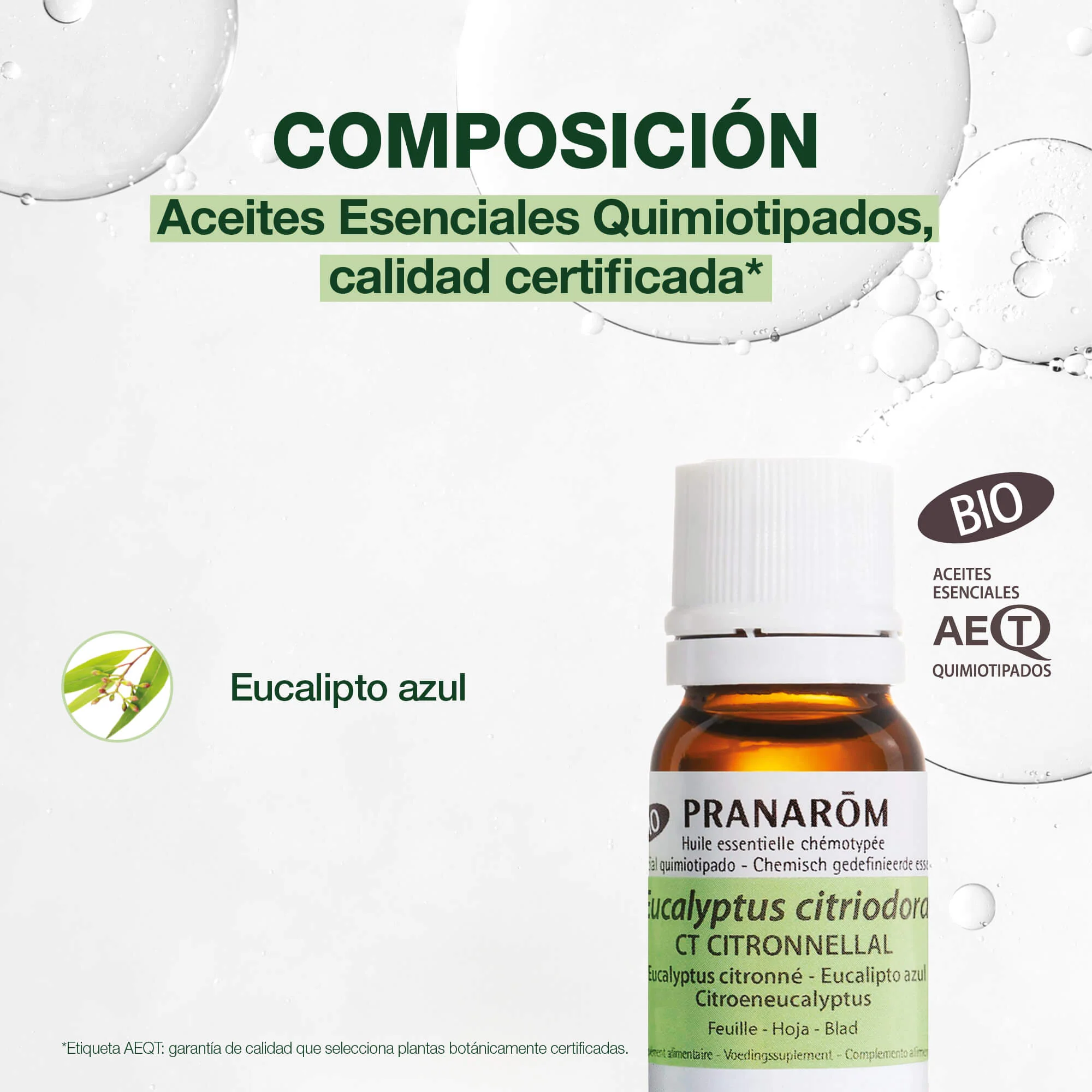 Aceite Esencial de Eucalipto Azul - Bio - Image 3