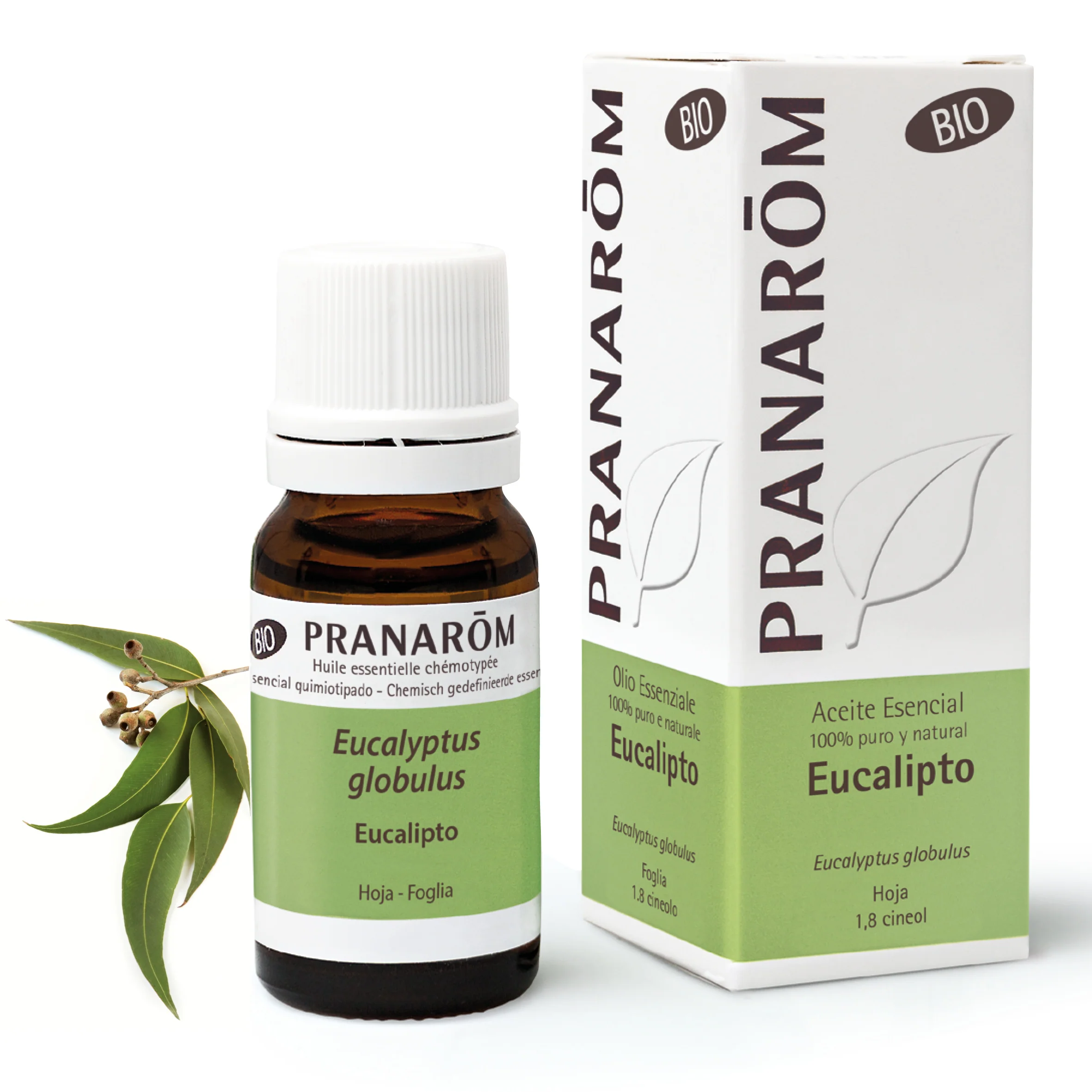 Aceite Esencial Eucalipto 10 ml - Bio