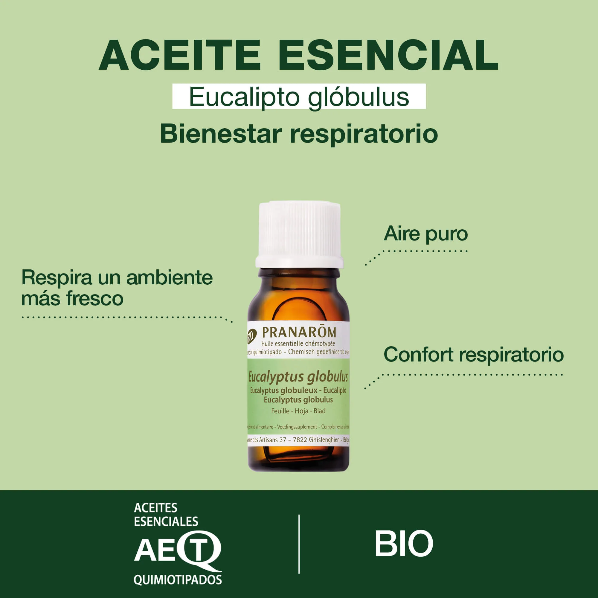 Aceite Esencial Eucalipto 10 ml - Bio - Image 2