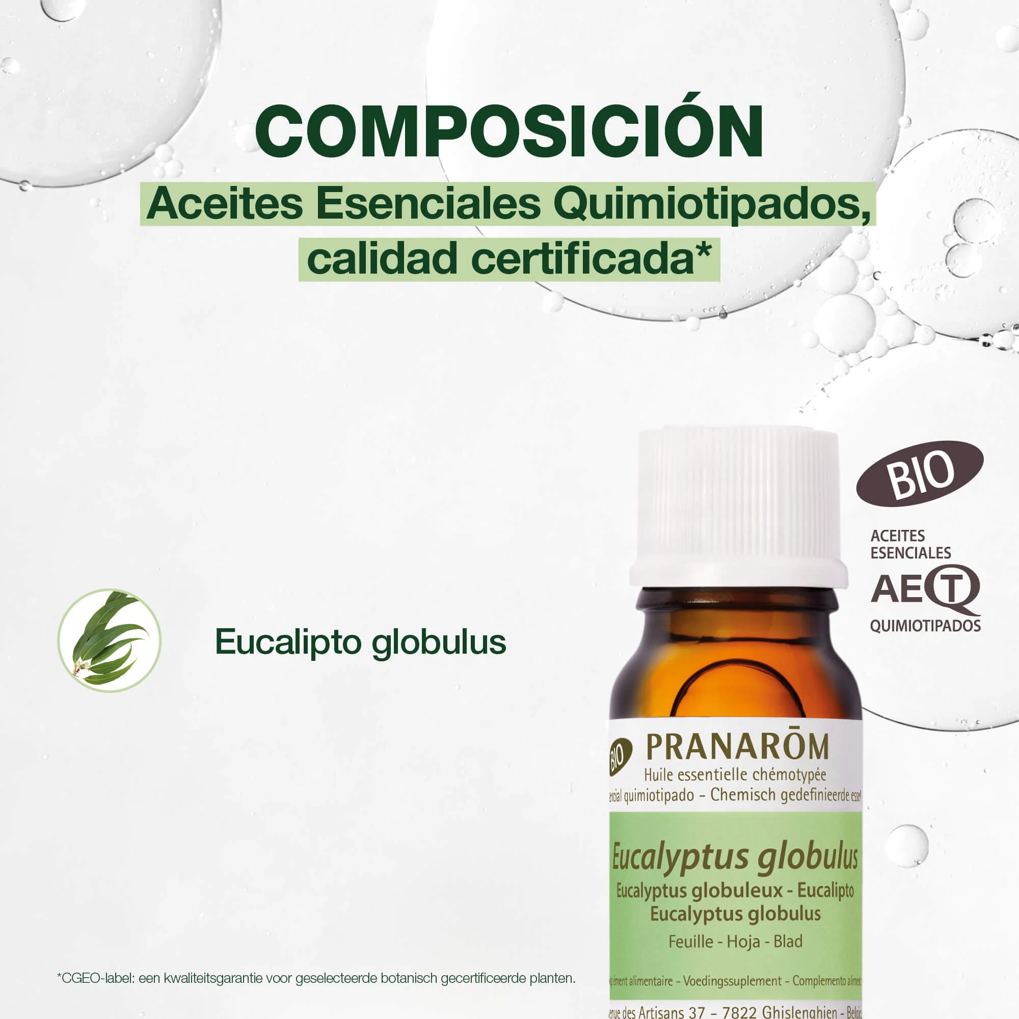 Aceite Esencial Eucalipto 10 ml - Bio - Image 3
