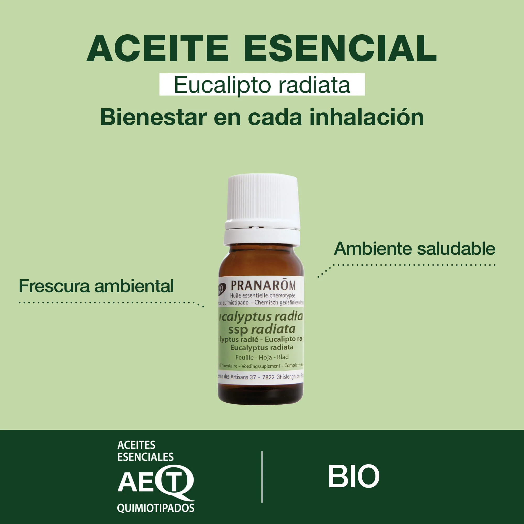 Aceite Esencial Eucalipto Radiata 10 ml - Bio - Image 2
