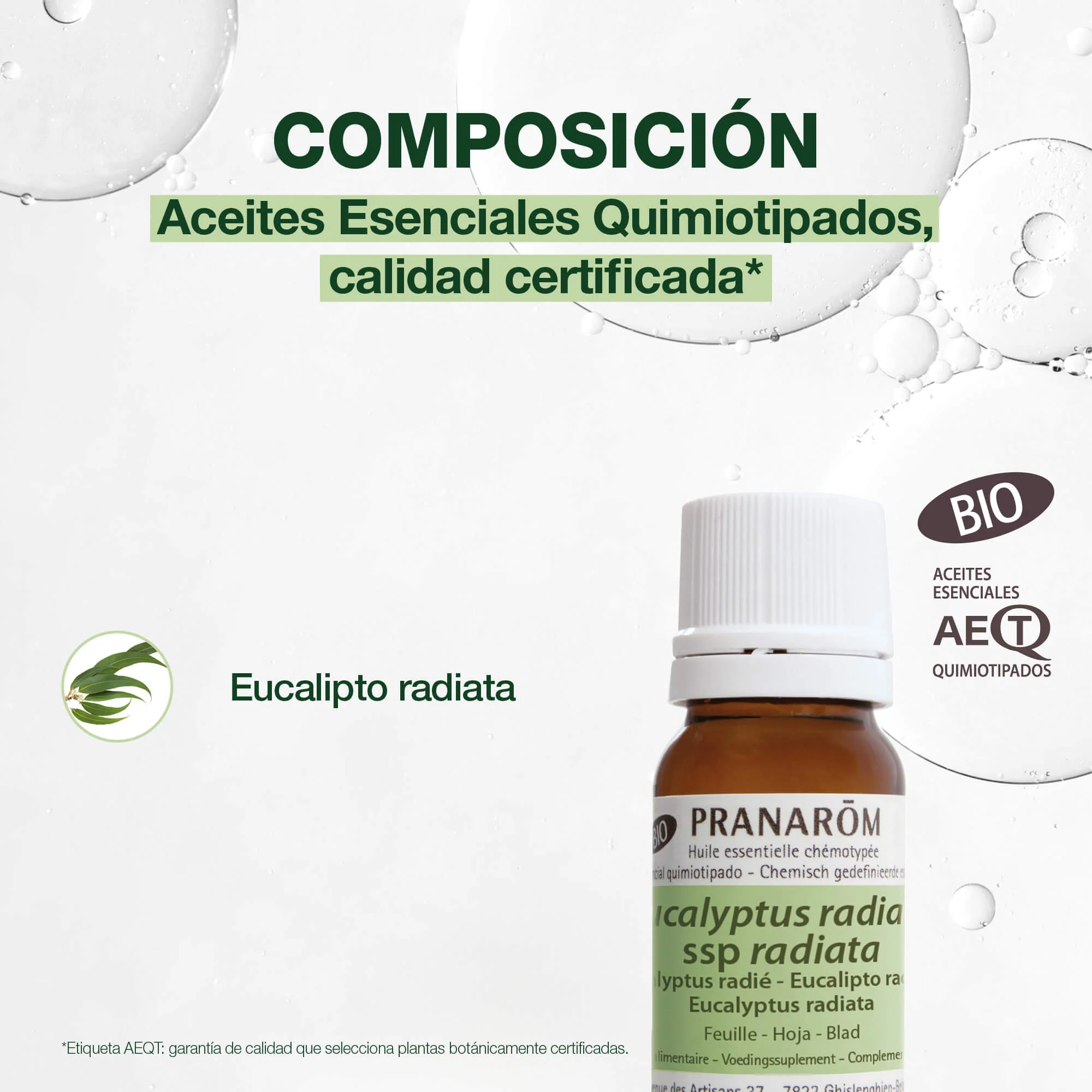 Aceite Esencial Eucalipto Radiata 10 ml - Bio - Image 3