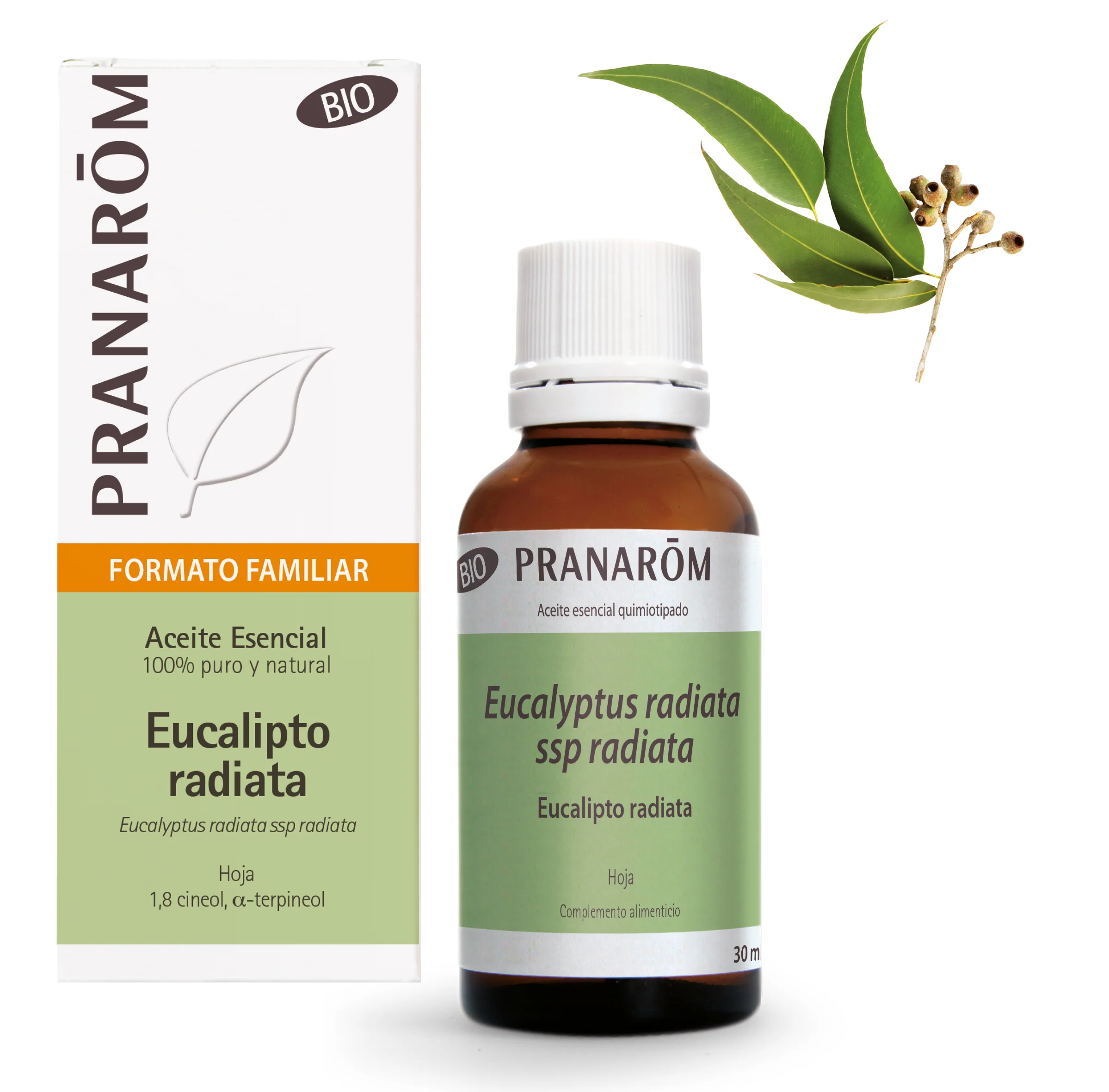 Aceite Esencial Eucalipto Radiata 30 ml Formato Grande - Bio