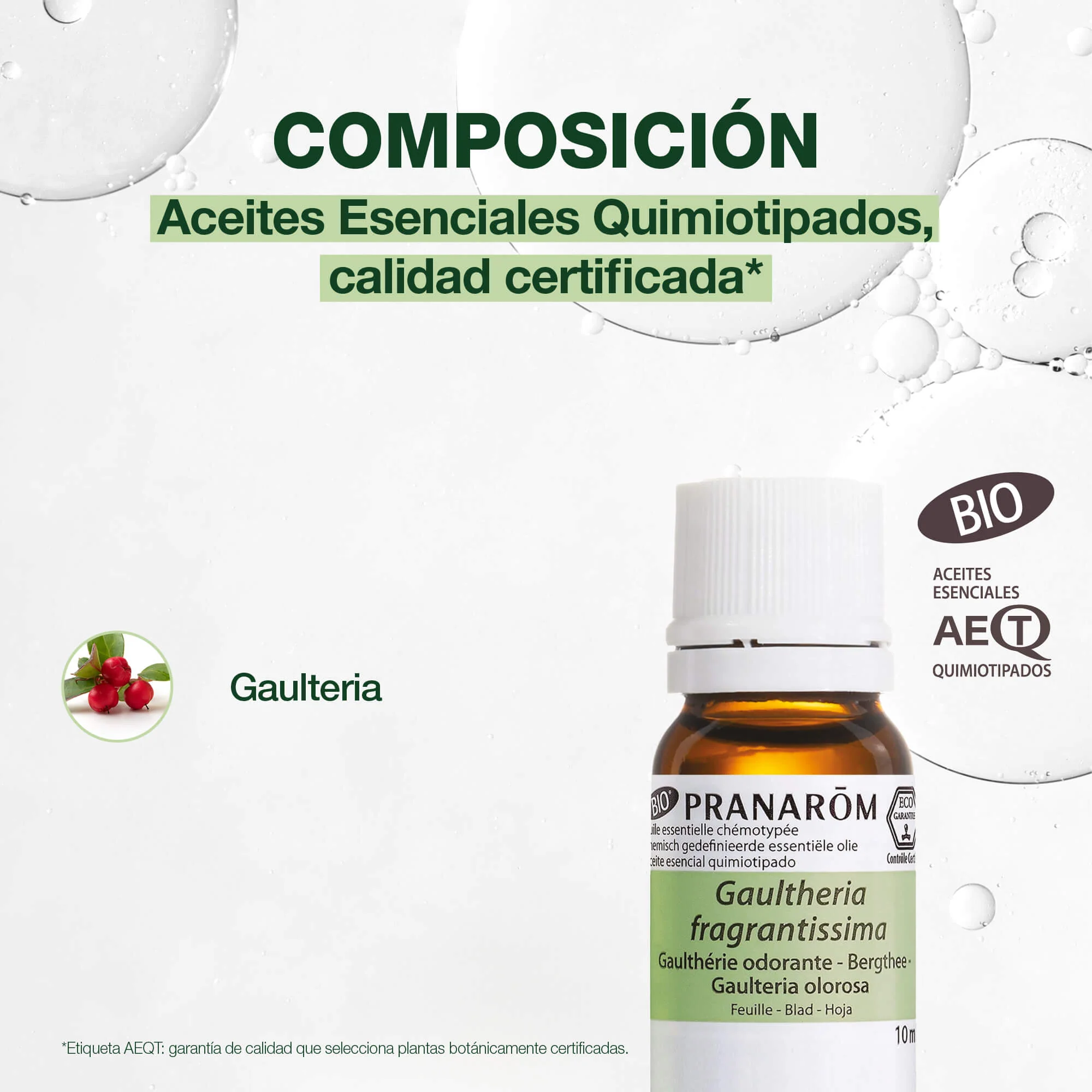 Aceite Esencial Gaulteria Olorosa 10 ml - Bio - Image 3