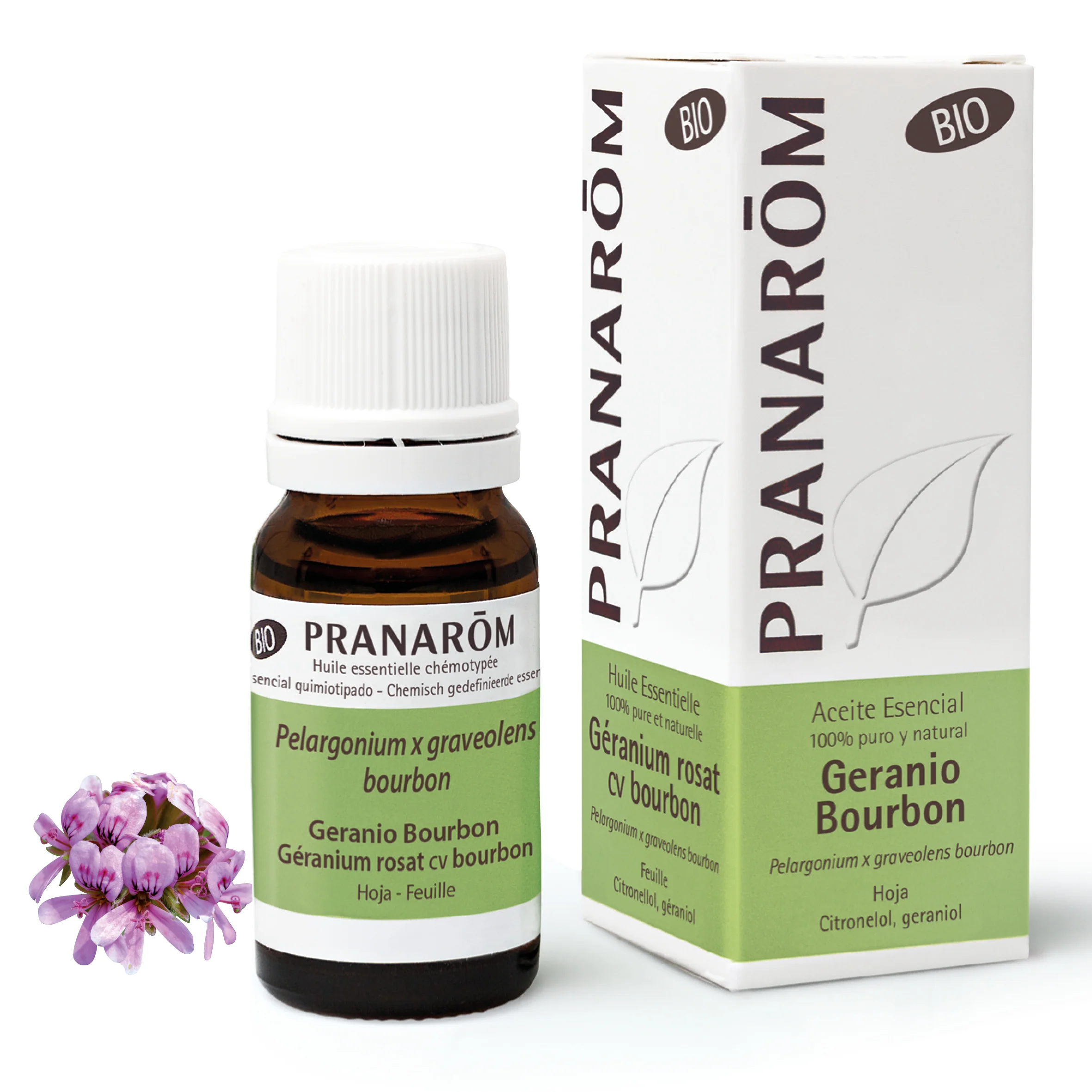 Aceite Esencial Geranio Bourbon 10 ml - Bio
