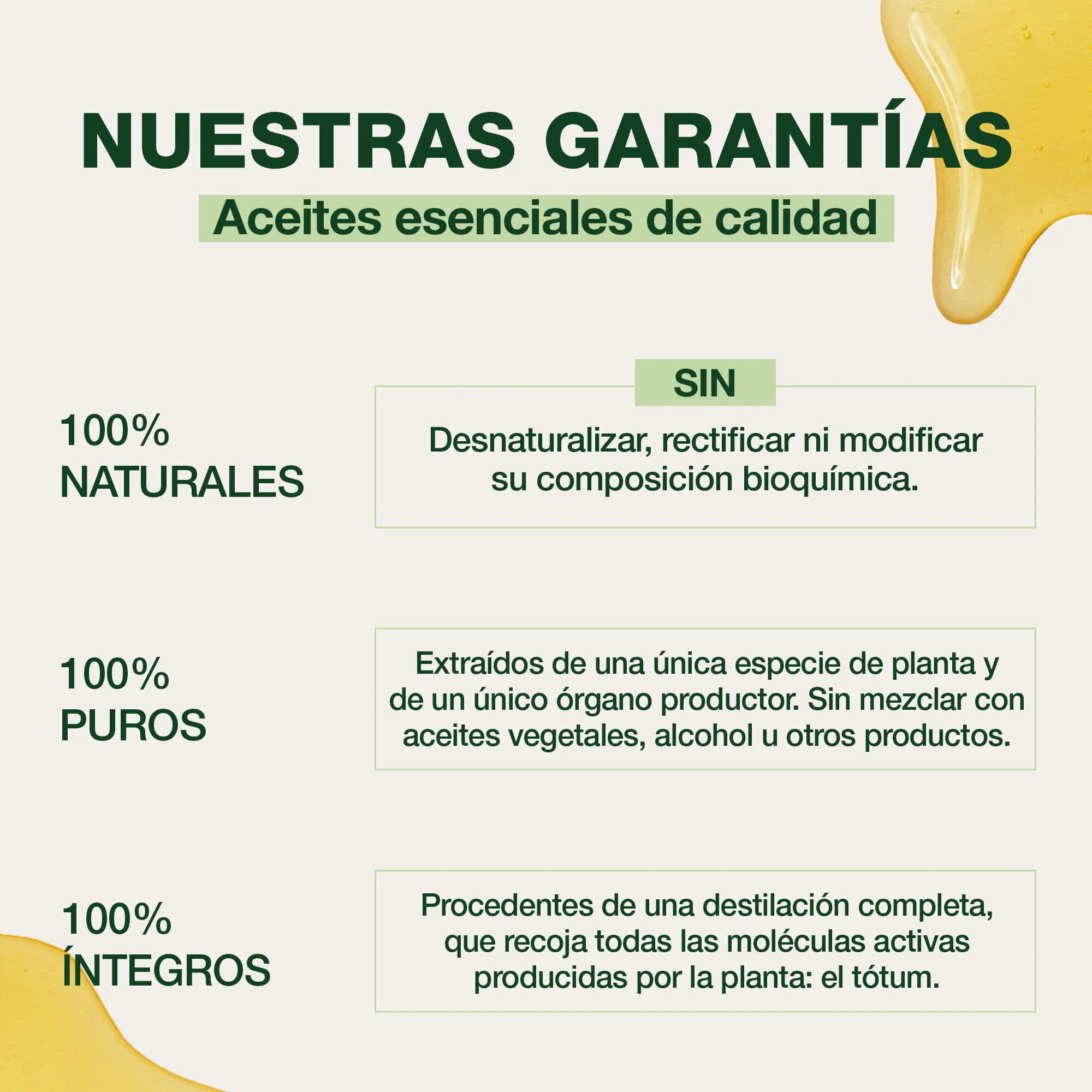 Jarabe Tos 120 ml - Bio - Image 3