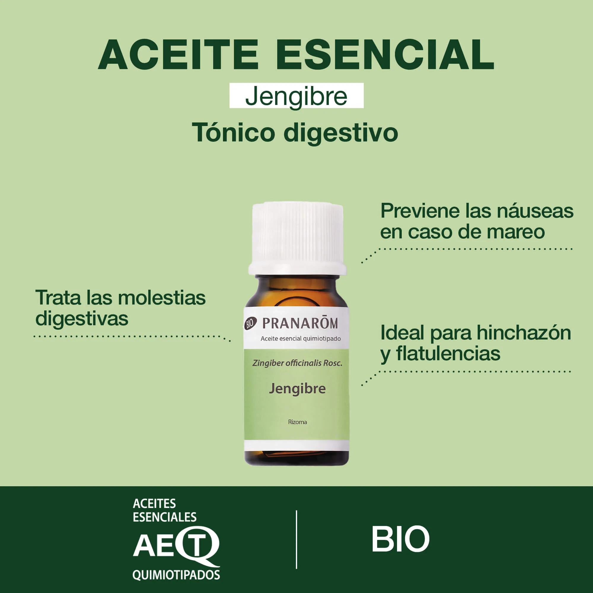 Aceite Esencial Jengibre 5 ml - Bio - Image 2