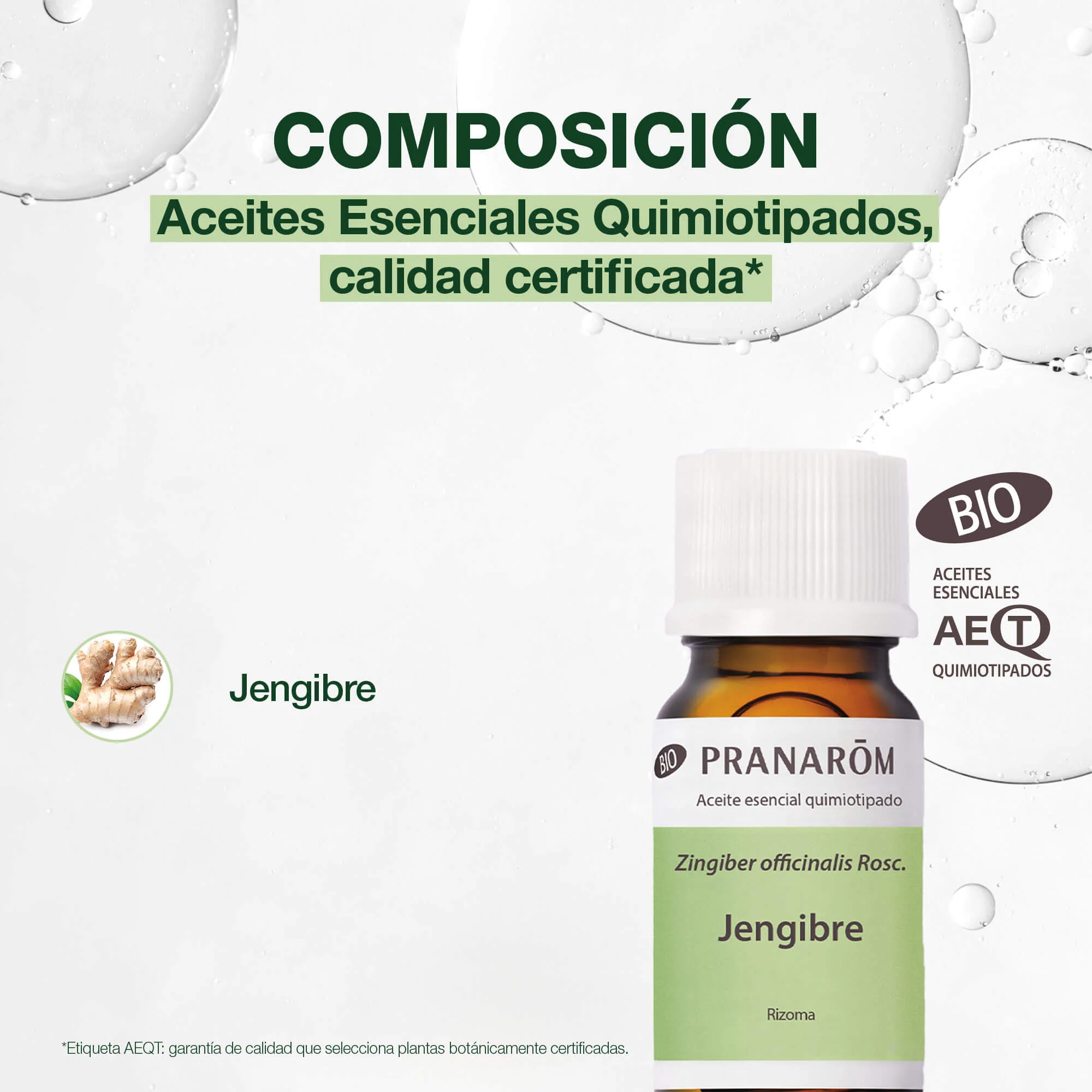 Aceite Esencial Jengibre 5 ml - Bio - Image 4