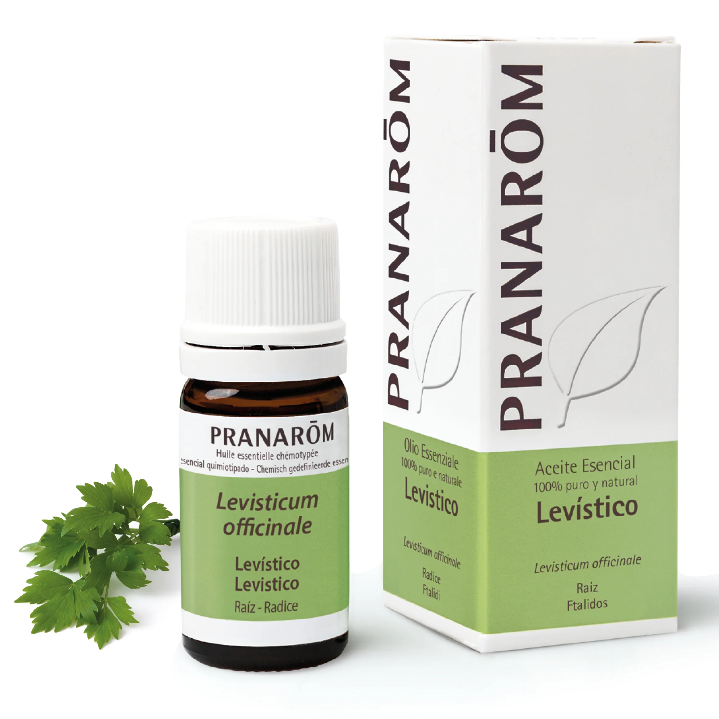 Aceite Esencial Levístico 5 ml
