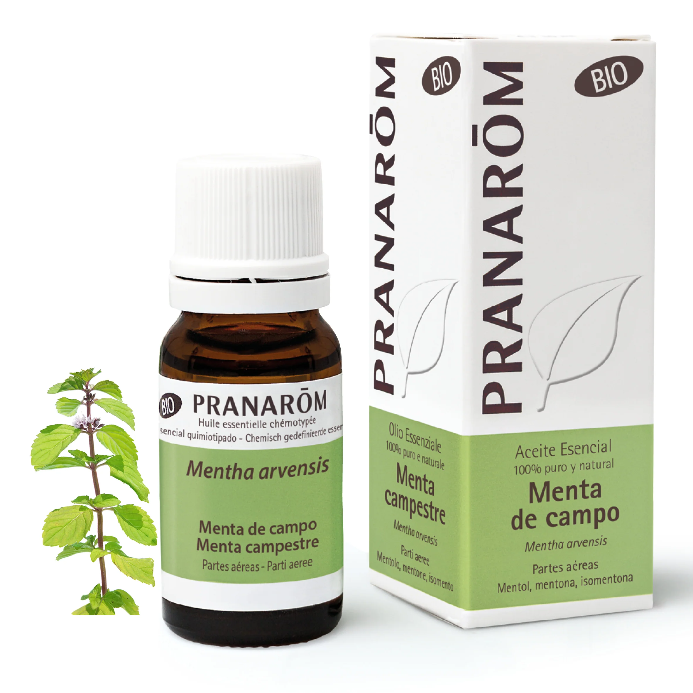Aceite Esencial Menta de Campo 10 ml - Bio