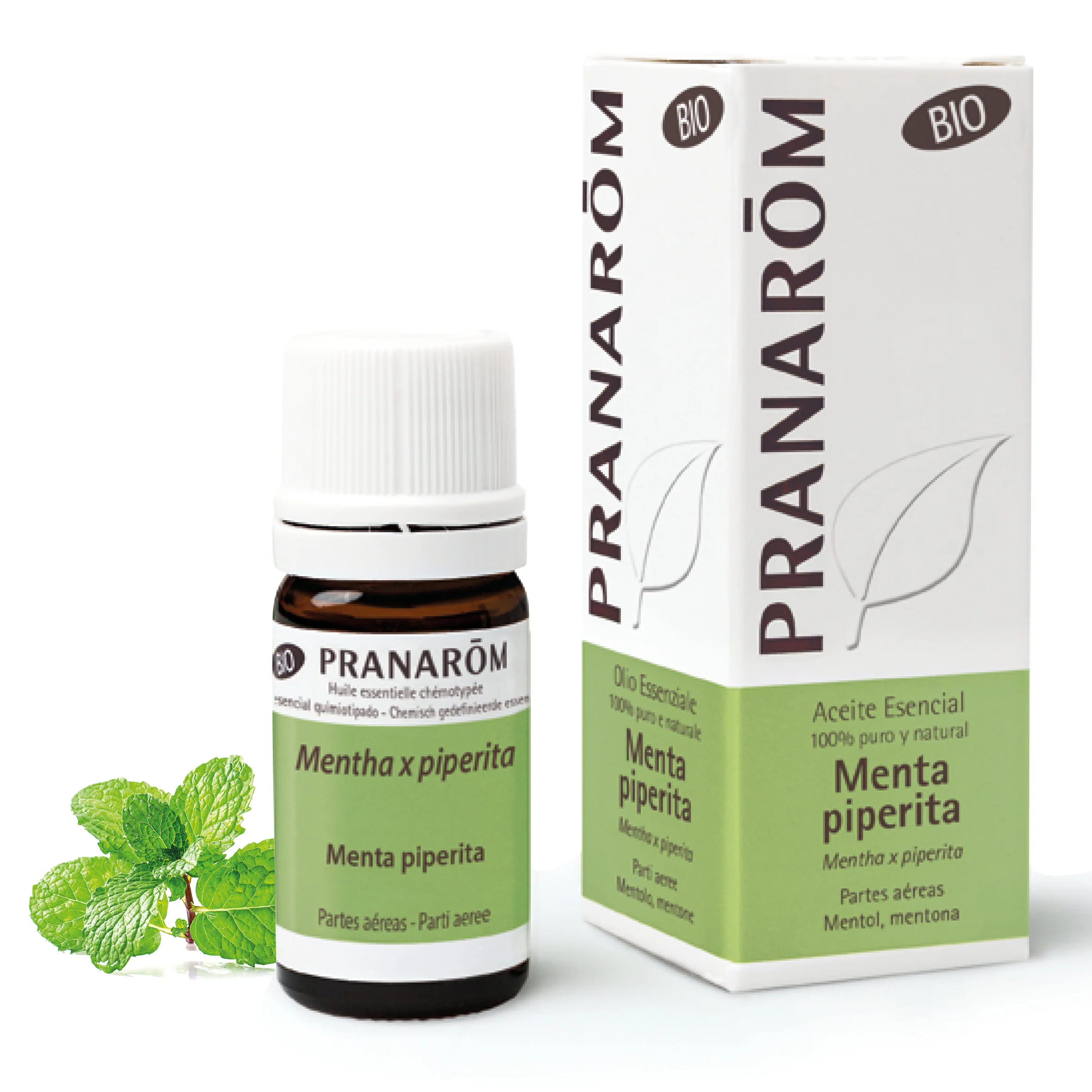 Aceite Esencial Menta Piperita 5 ml - Bio