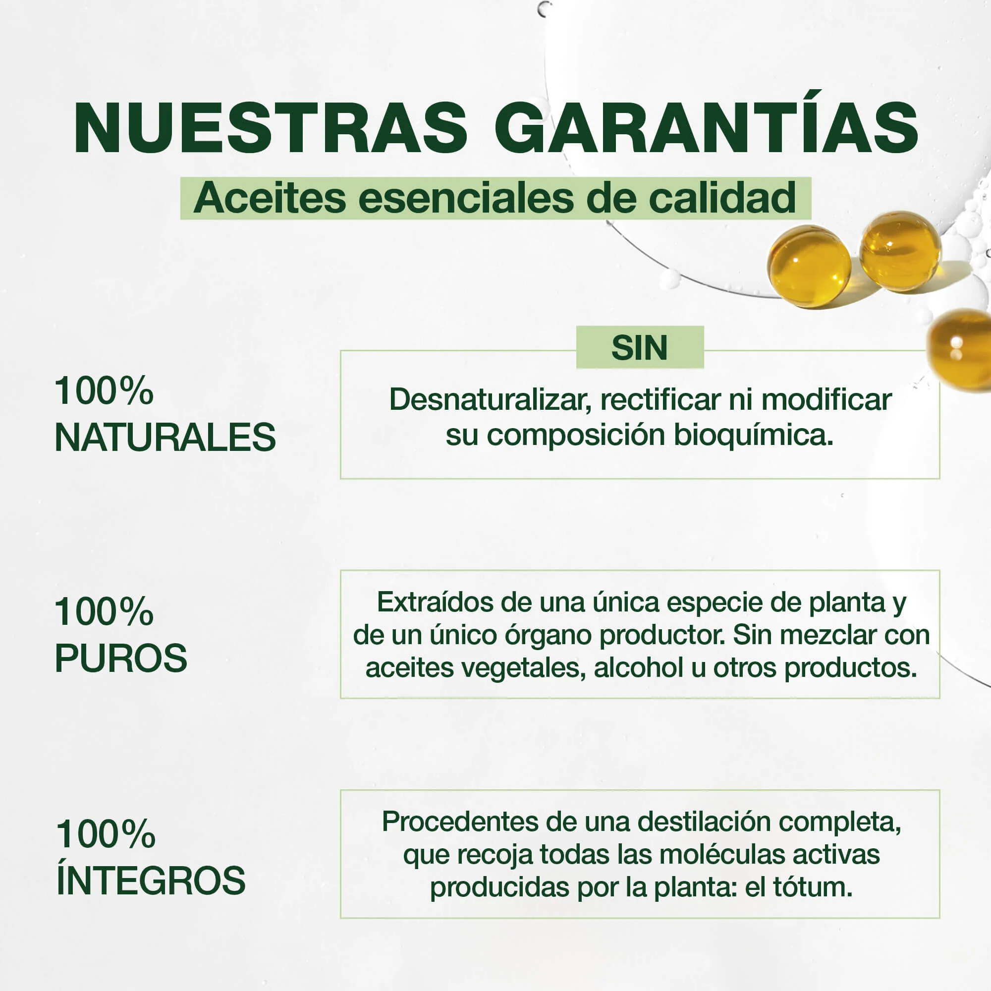 Aceite Esencial Perlas Menta Piperita - Bio - Image 3