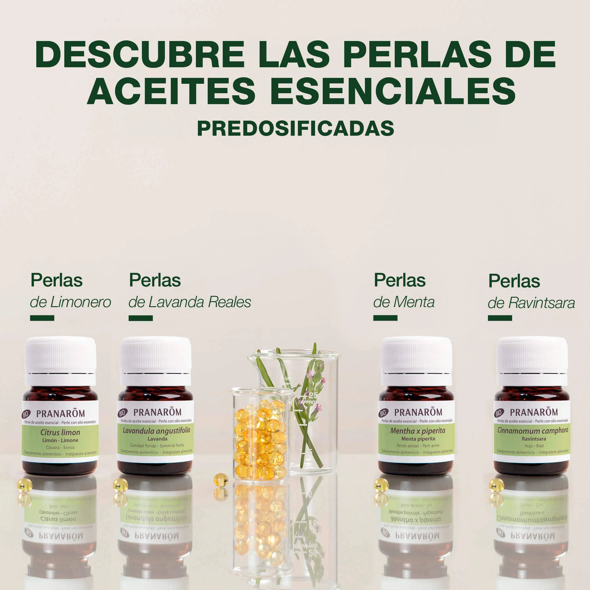 Aceite Esencial Perlas Menta Piperita - Bio - Image 6