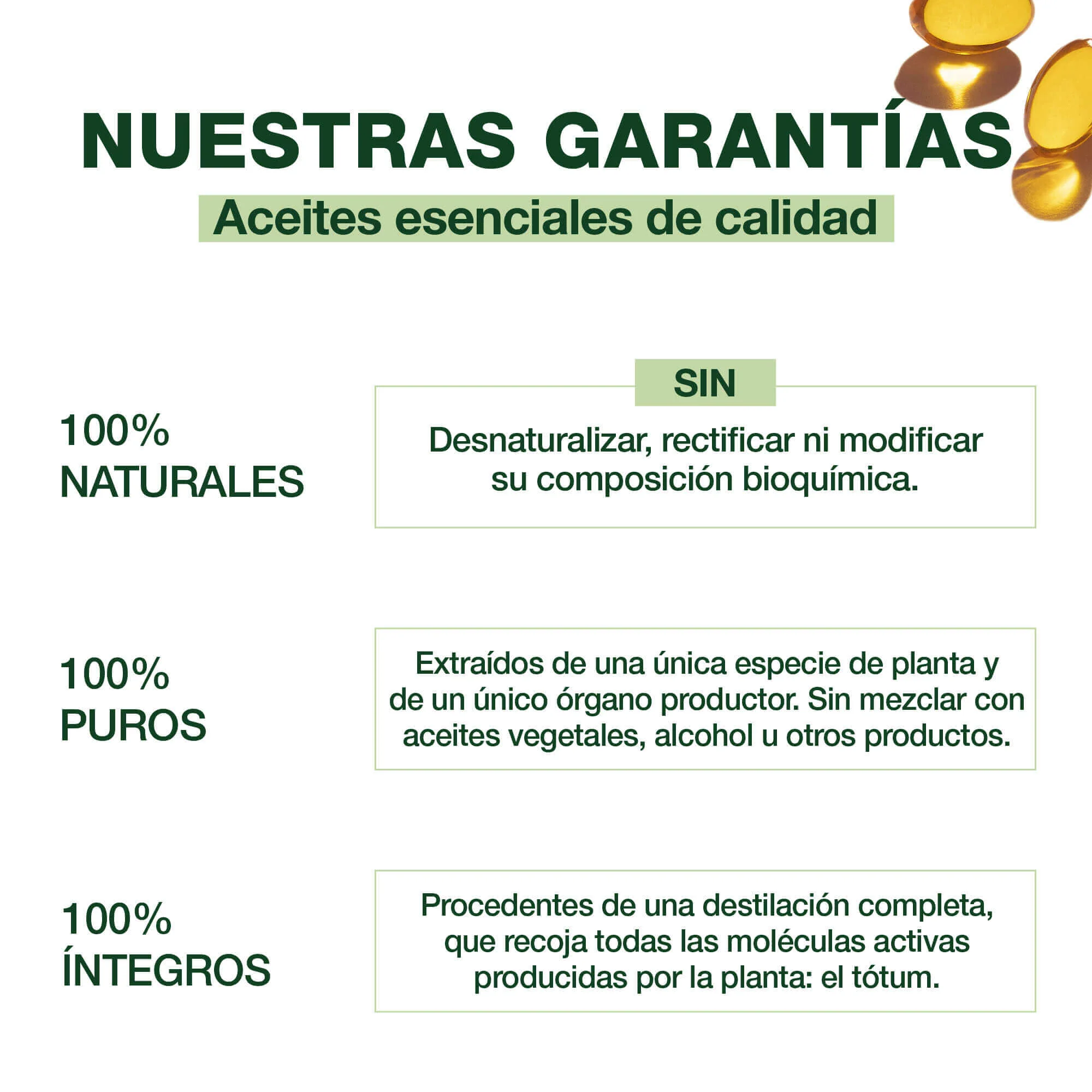 Oleobiotic® Salud Intestinal - Image 3