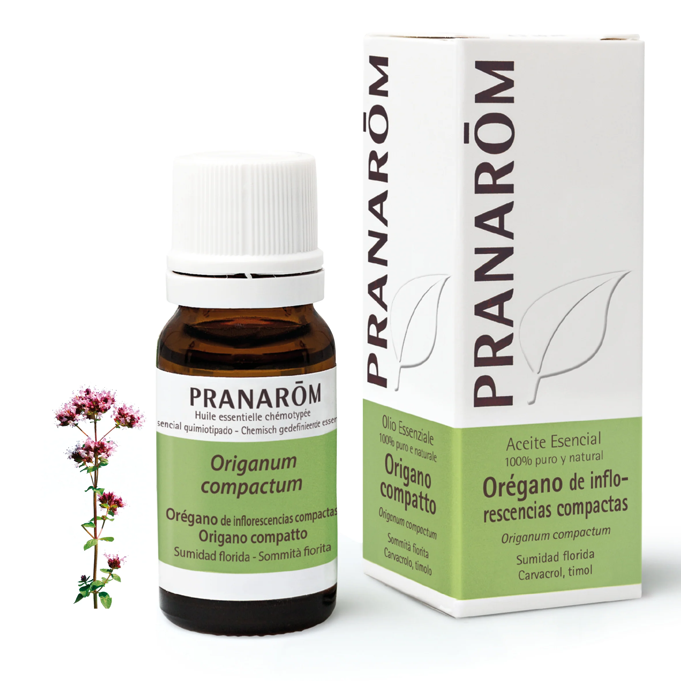 Aceite Esencial Orégano De Inflorescencias Compactas 10 ml