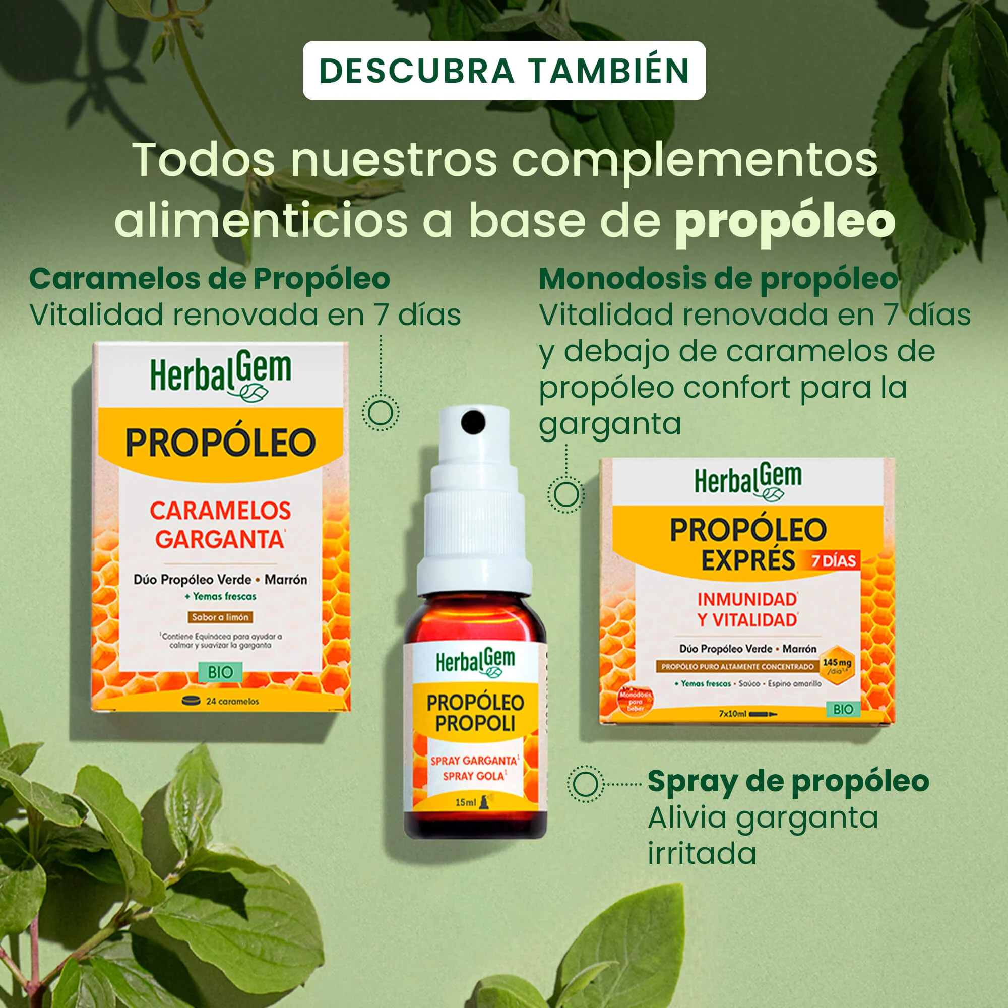 Propóleo Spray Garganta - Bio - Image 6