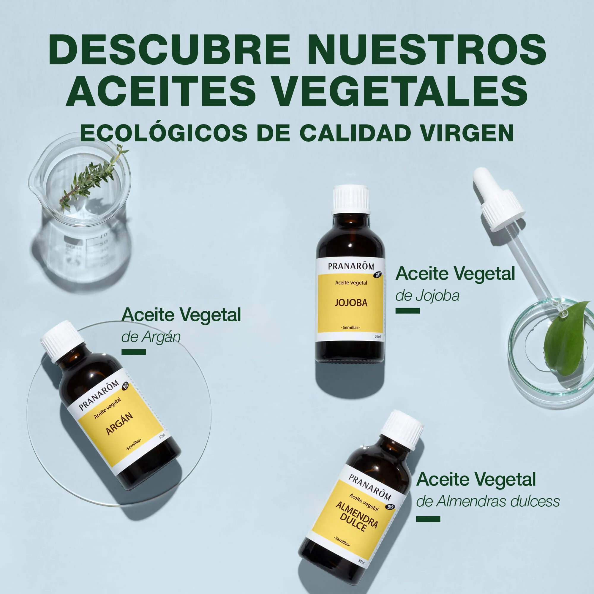 Aceite Vegetal Rosa Mosqueta 50 ml - Bio - Image 6