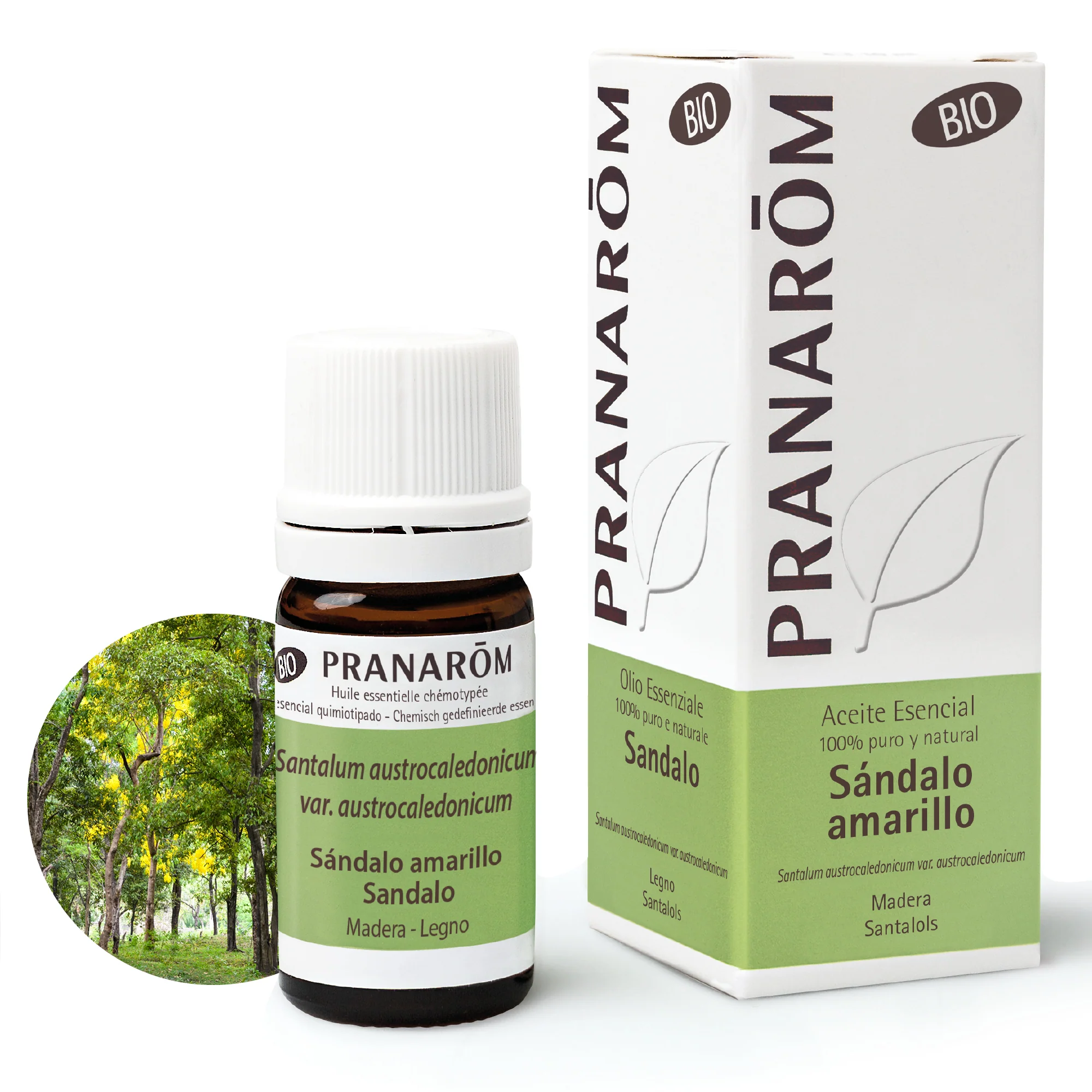 Aceite Esencial Sándalo Amarillo 5 ml - Bio