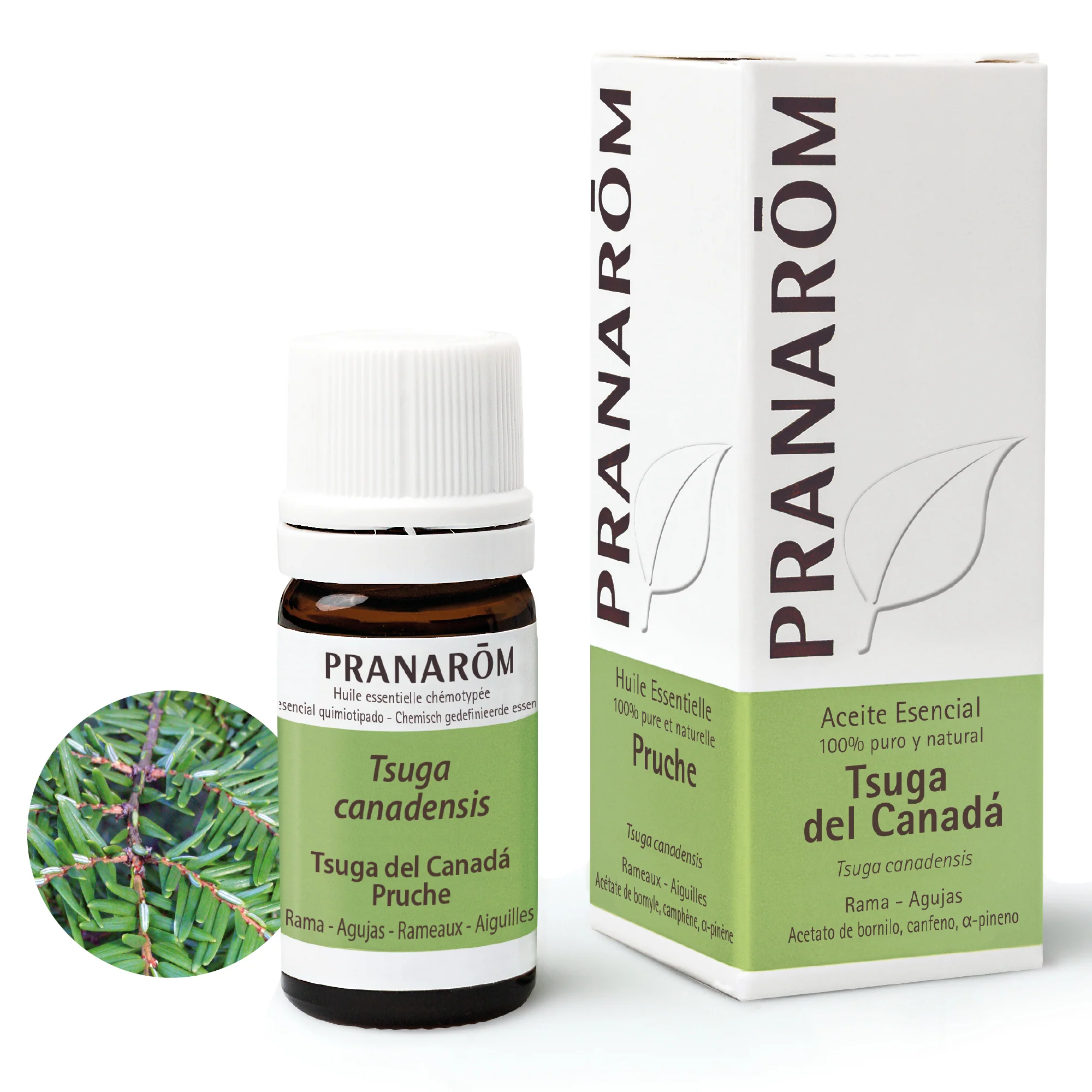Aceite Esencial Tsuga Del Canadá 5 ml